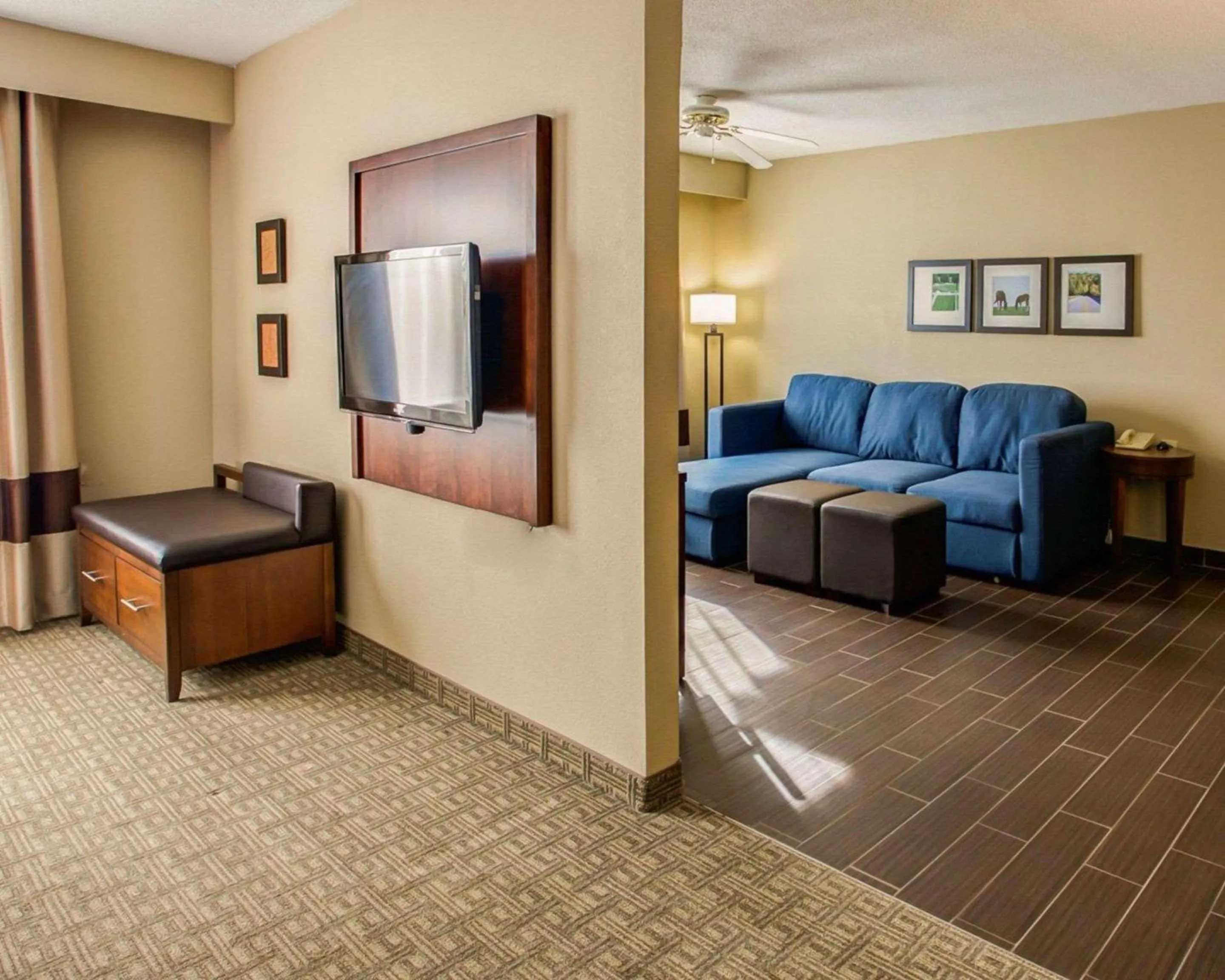 Photo of the whole room in Comfort Suites Georgetown