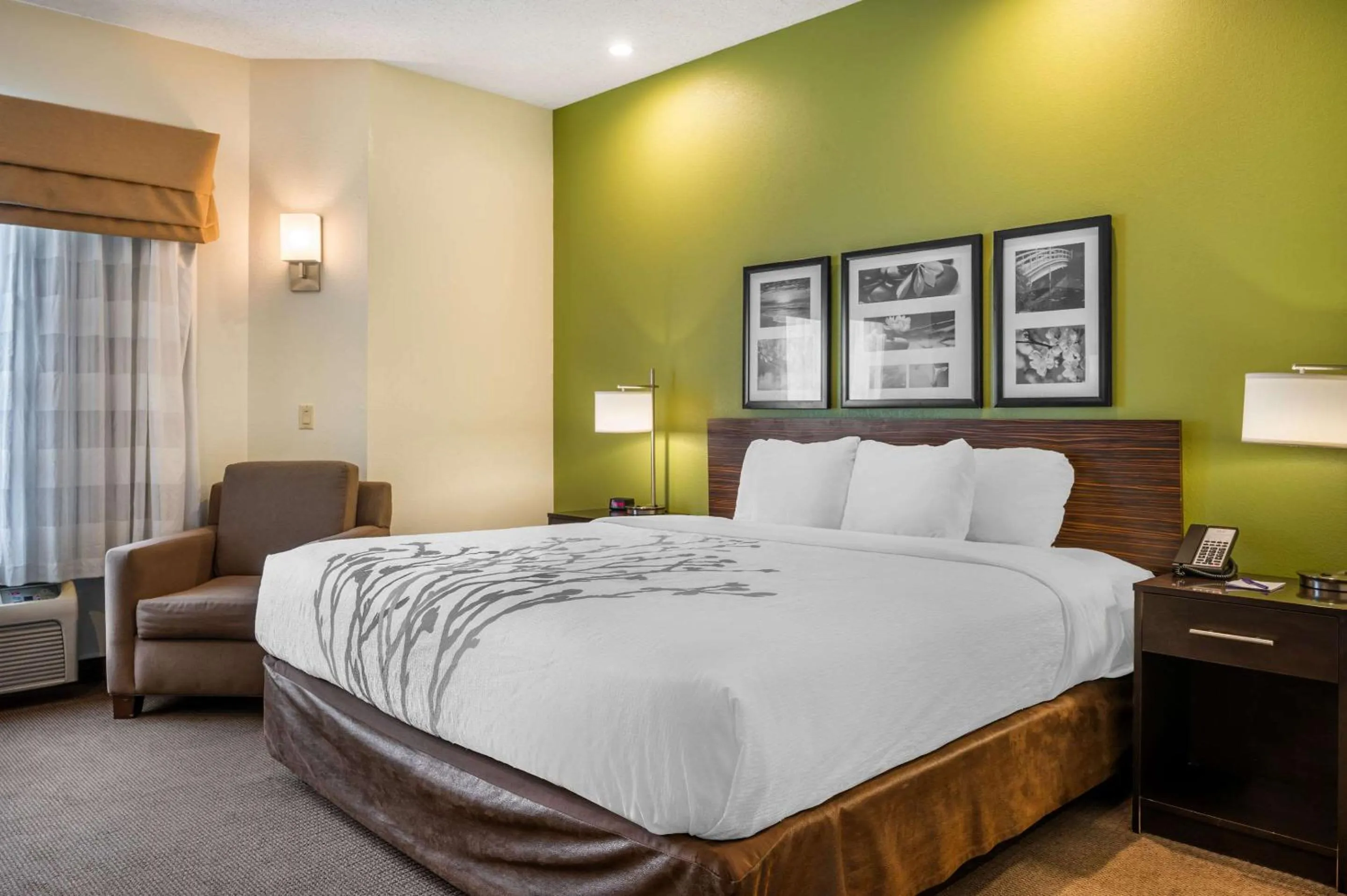 Bedroom, Bed in Sleep Inn Henderson-Evansville South