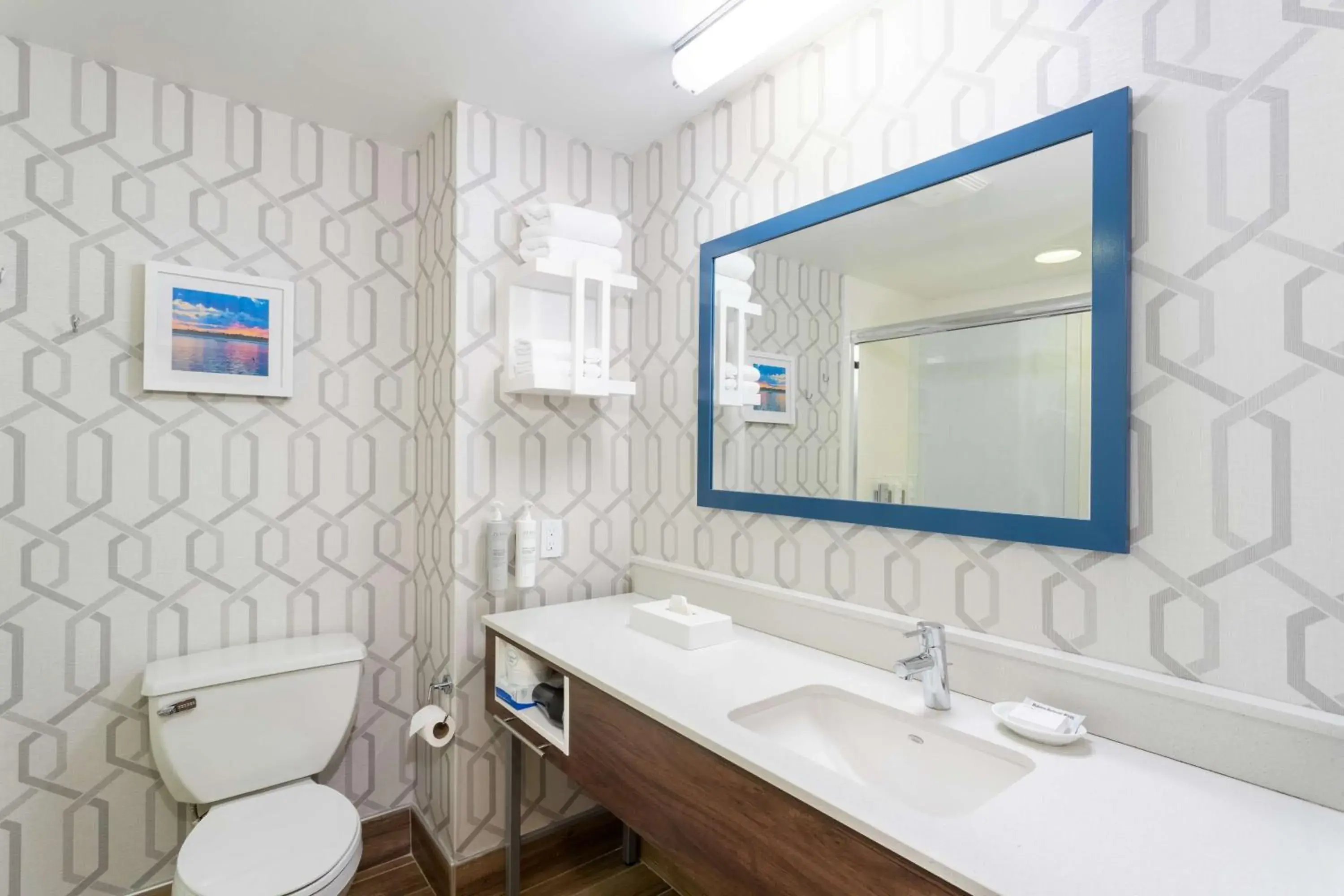 Bathroom in Hampton Inn Buffalo-South/I-90 Bathroom in Hampton Inn Buffalo-South/I-90