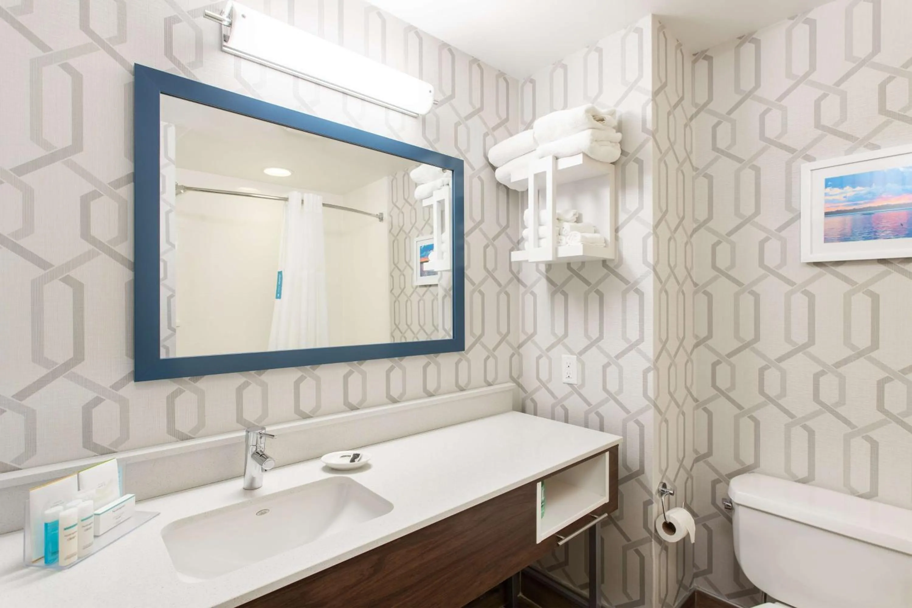 Toilet in Hampton Inn Buffalo-South/I-90