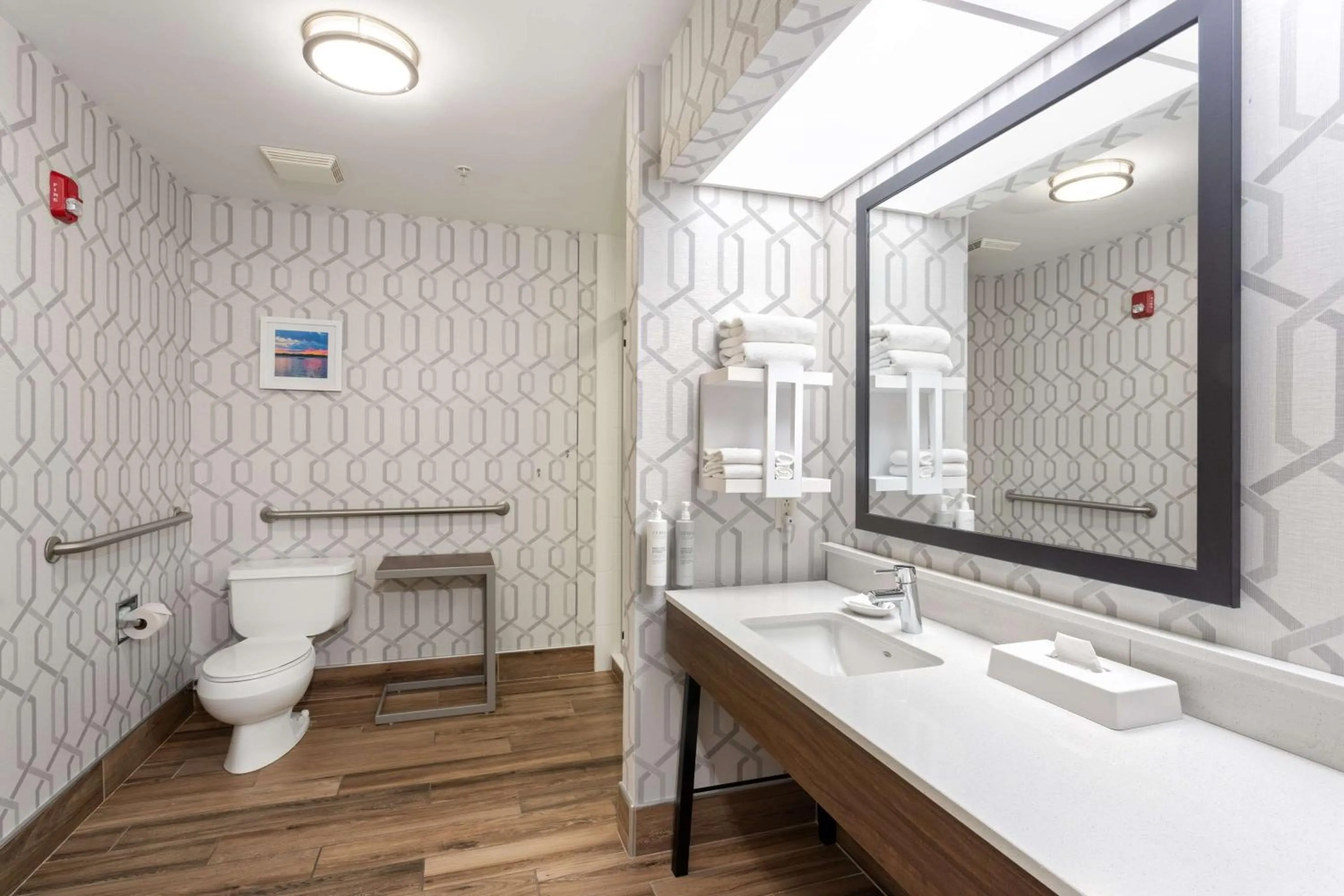 Toilet in Hampton Inn Buffalo-South/I-90