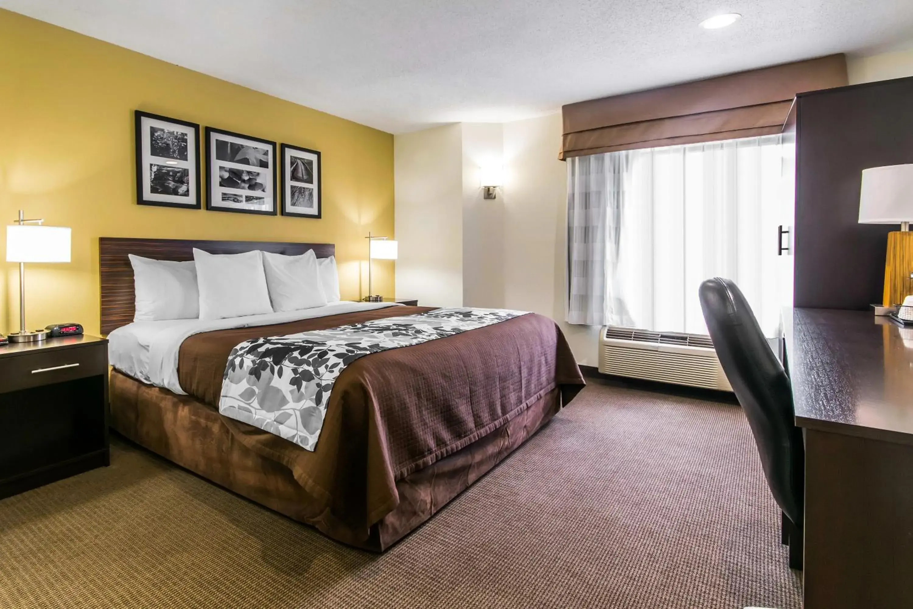 Bed in Sleep Inn Bed in Sleep Inn