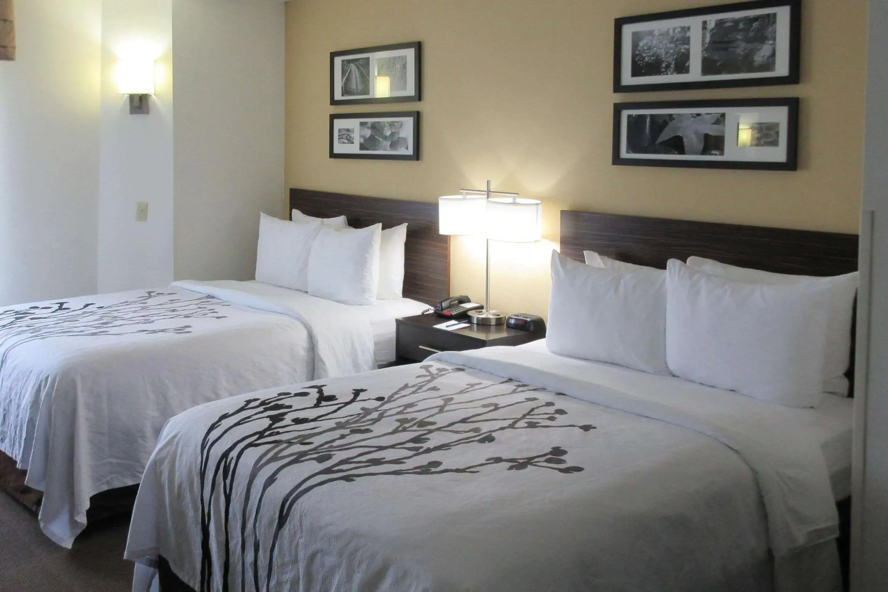 Double Room with Two Double Beds - Non-Smoking in Sleep Inn Double Room with Two Double Beds - Non-Smoking in Sleep Inn