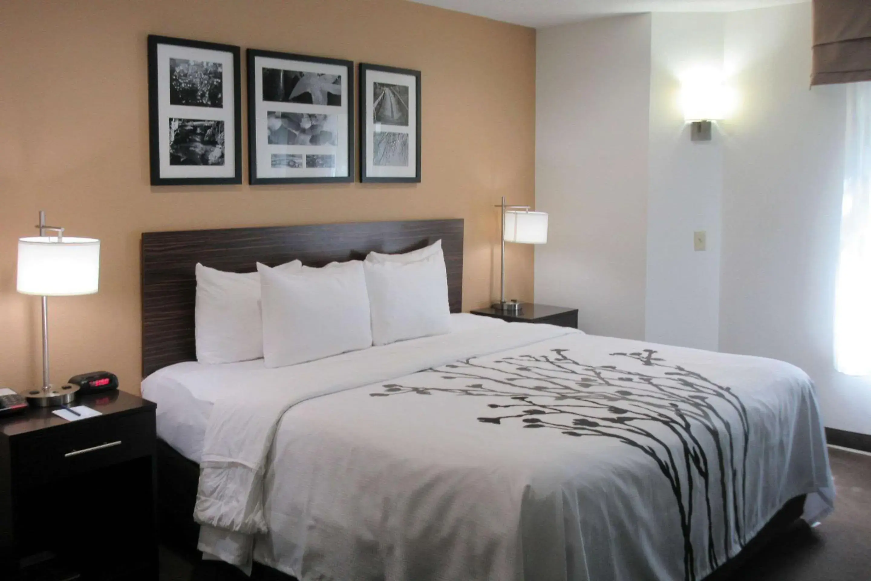 King Room - Non-Smoking in Sleep Inn King Room - Non-Smoking in Sleep Inn