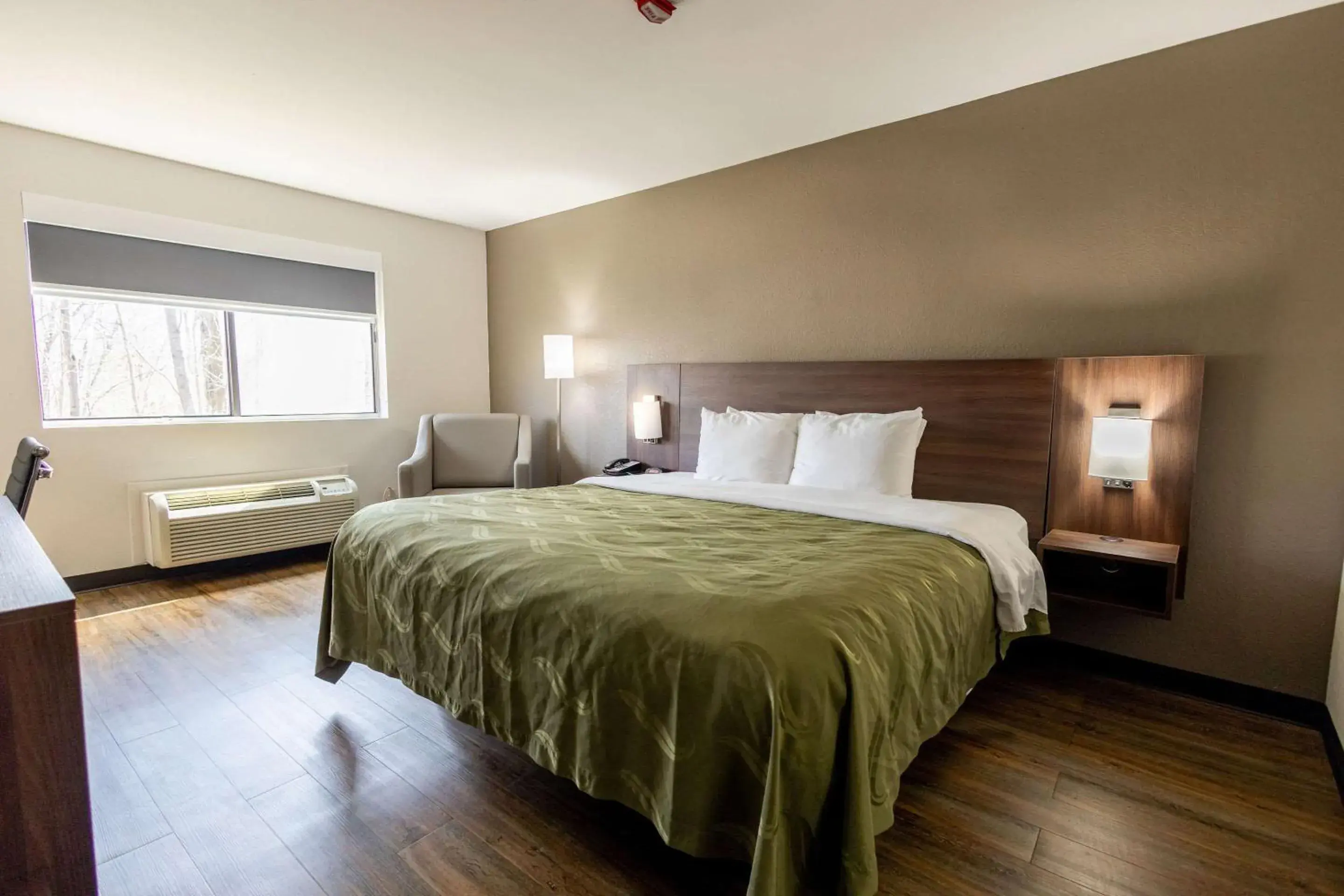 Bedroom, Bed in Quality Inn Bedroom, Bed in Quality Inn