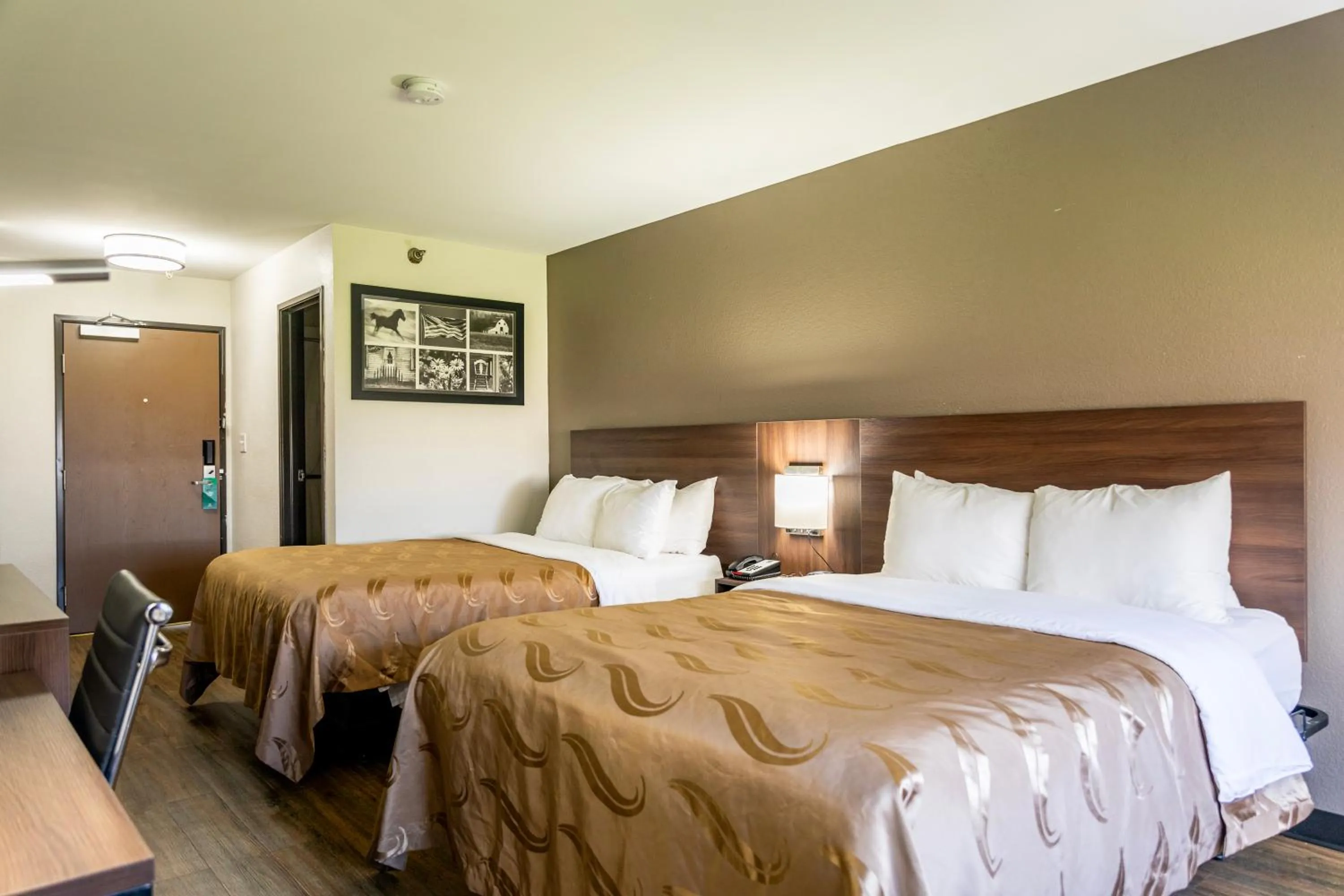 Bedroom, Bed in Quality Inn Carrollton