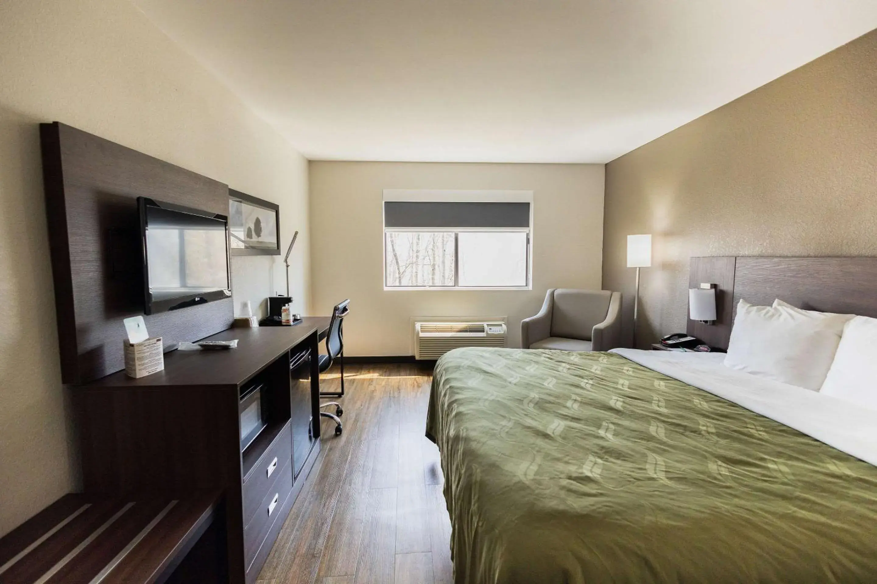 Bedroom, Bed in Quality Inn Bedroom, Bed in Quality Inn