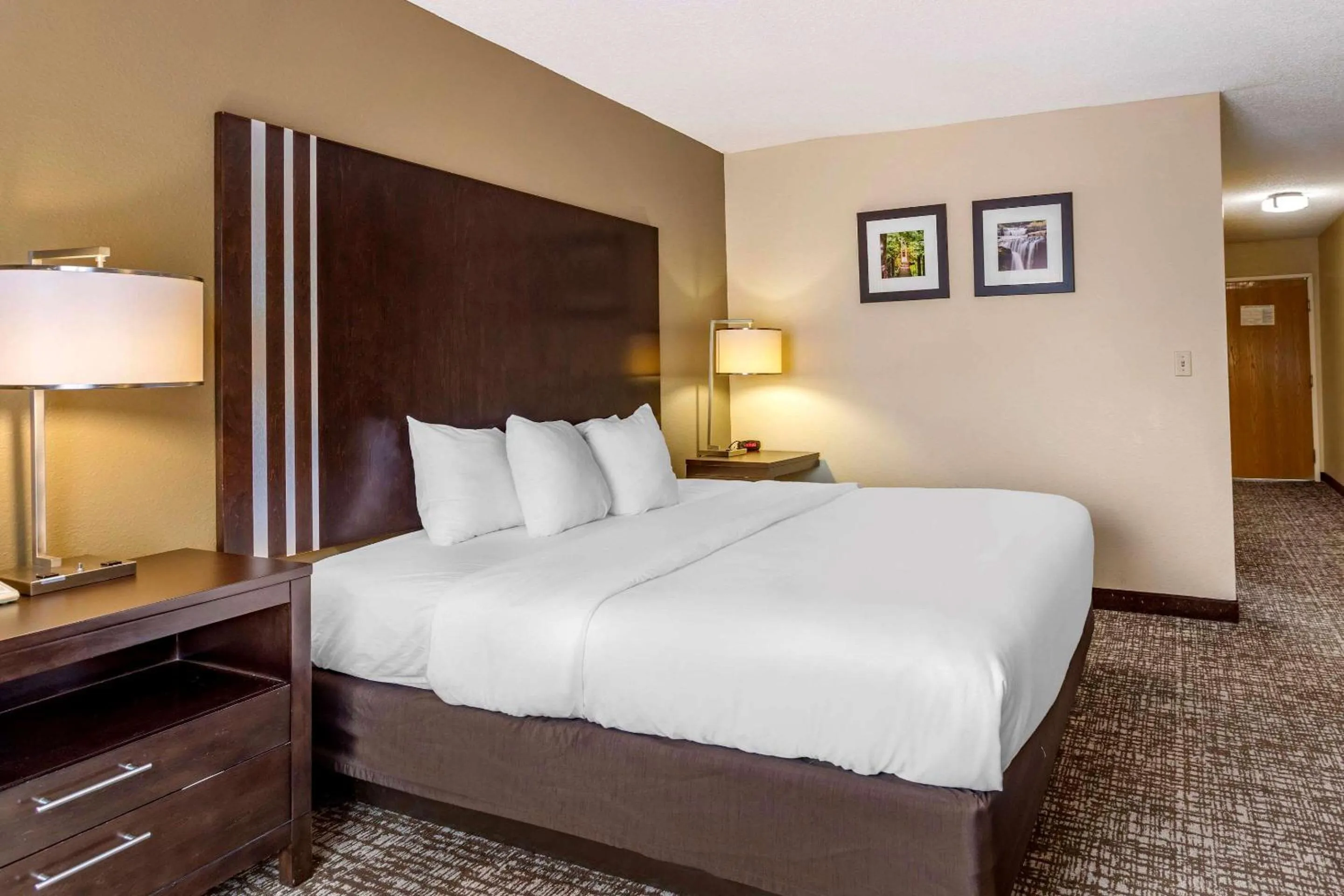 Photo of the whole room, Bed in Comfort Inn Paducah I-24