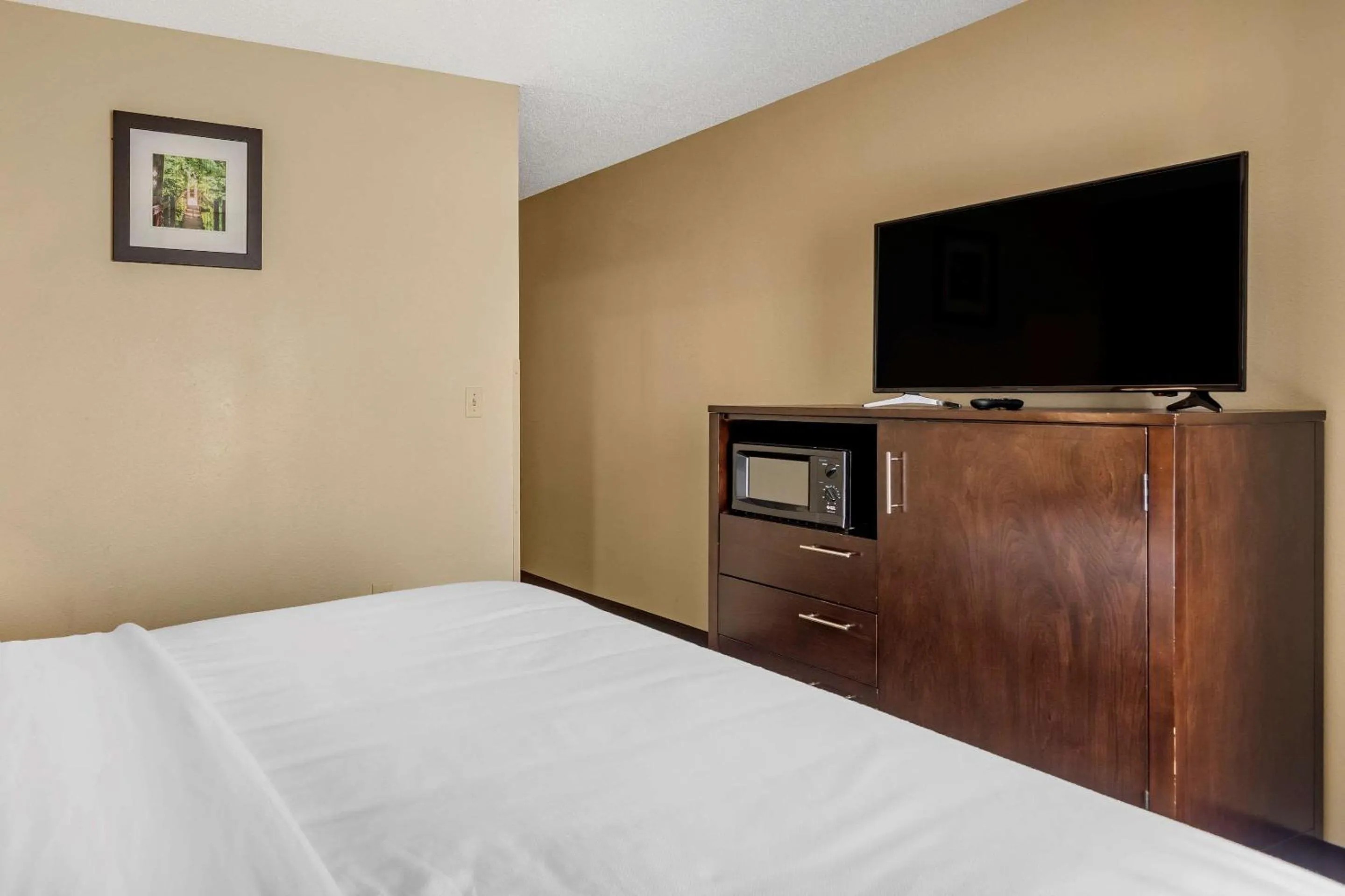 Photo of the whole room, Bed in Comfort Inn Paducah I-24