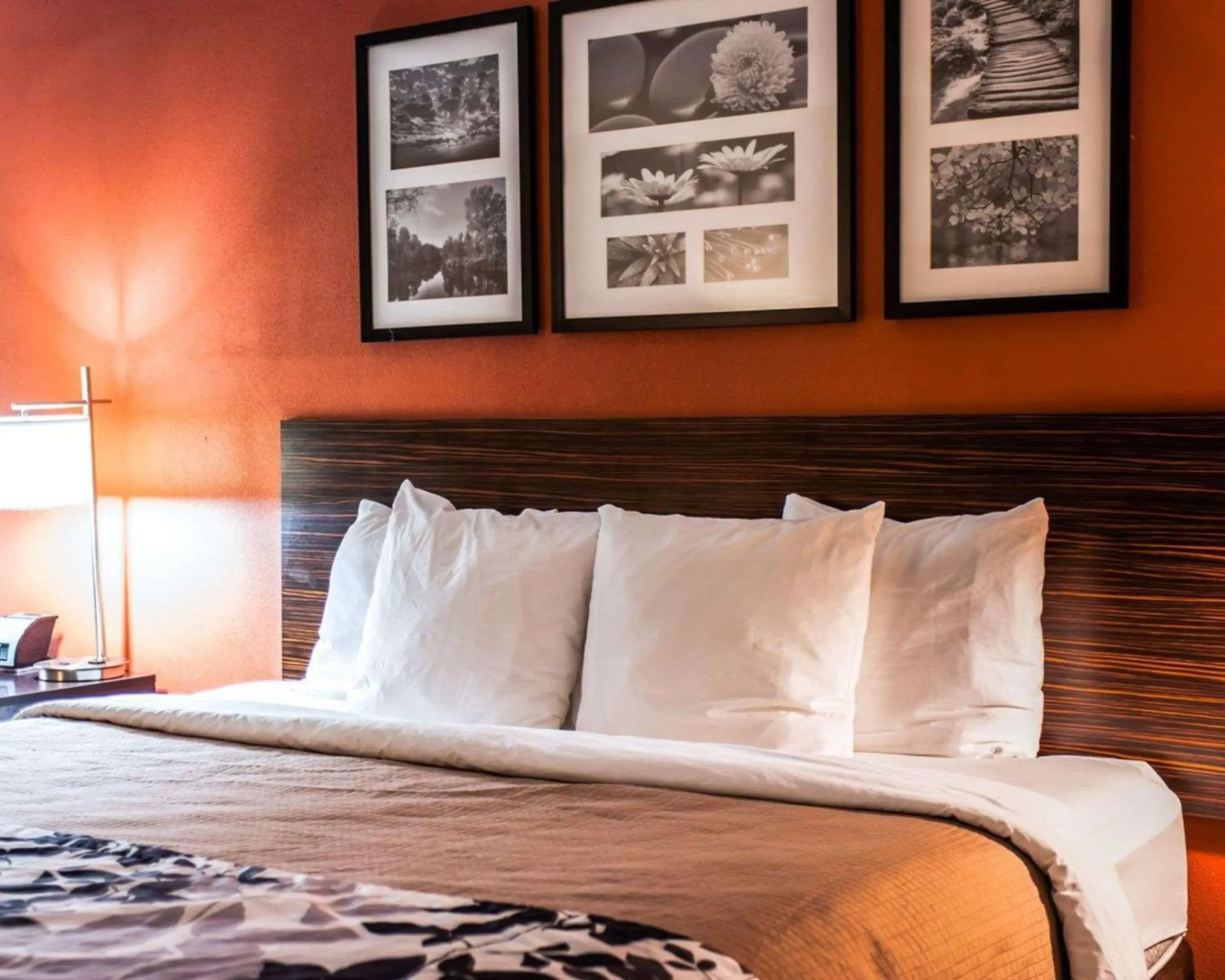 King Suite - Non-Smoking in Sleep Inn & Suites Fort Campbell King Suite - Non-Smoking in Sleep Inn & Suites Fort Campbell