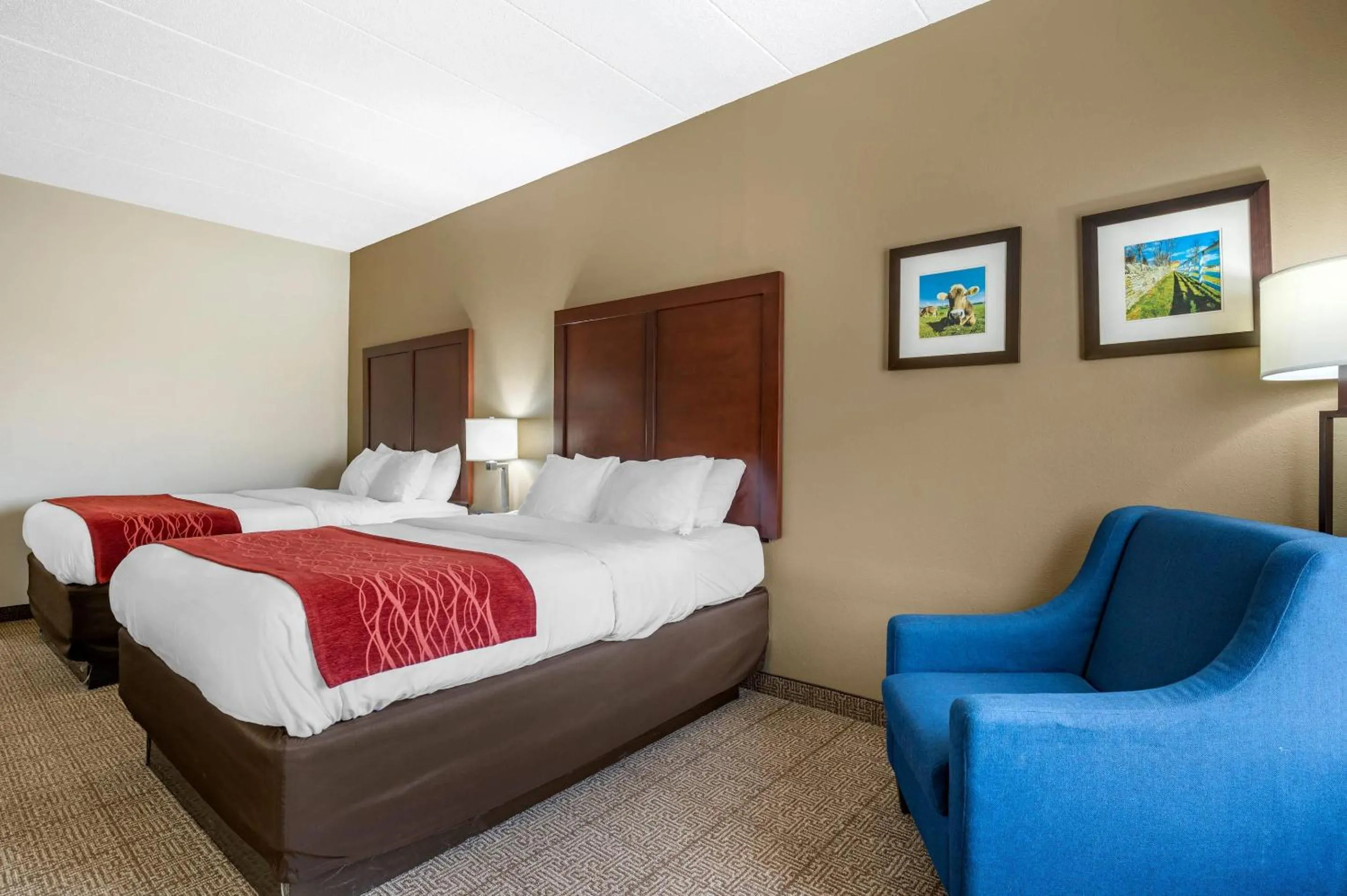 Bedroom, Bed in Comfort Inn Lexington I-75