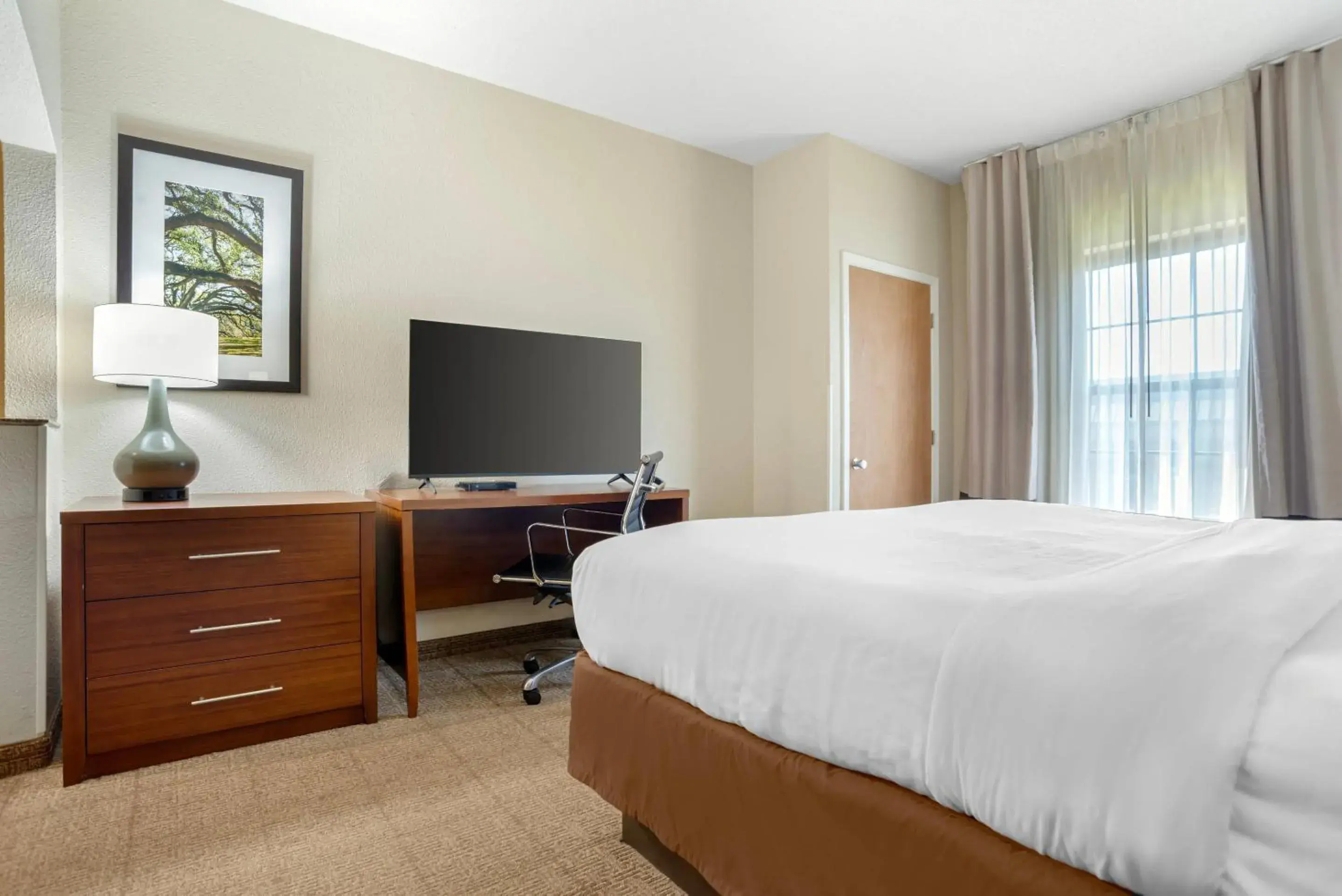 Bedroom, Bed in Comfort Suites Monroe Bedroom, Bed in Comfort Suites Monroe