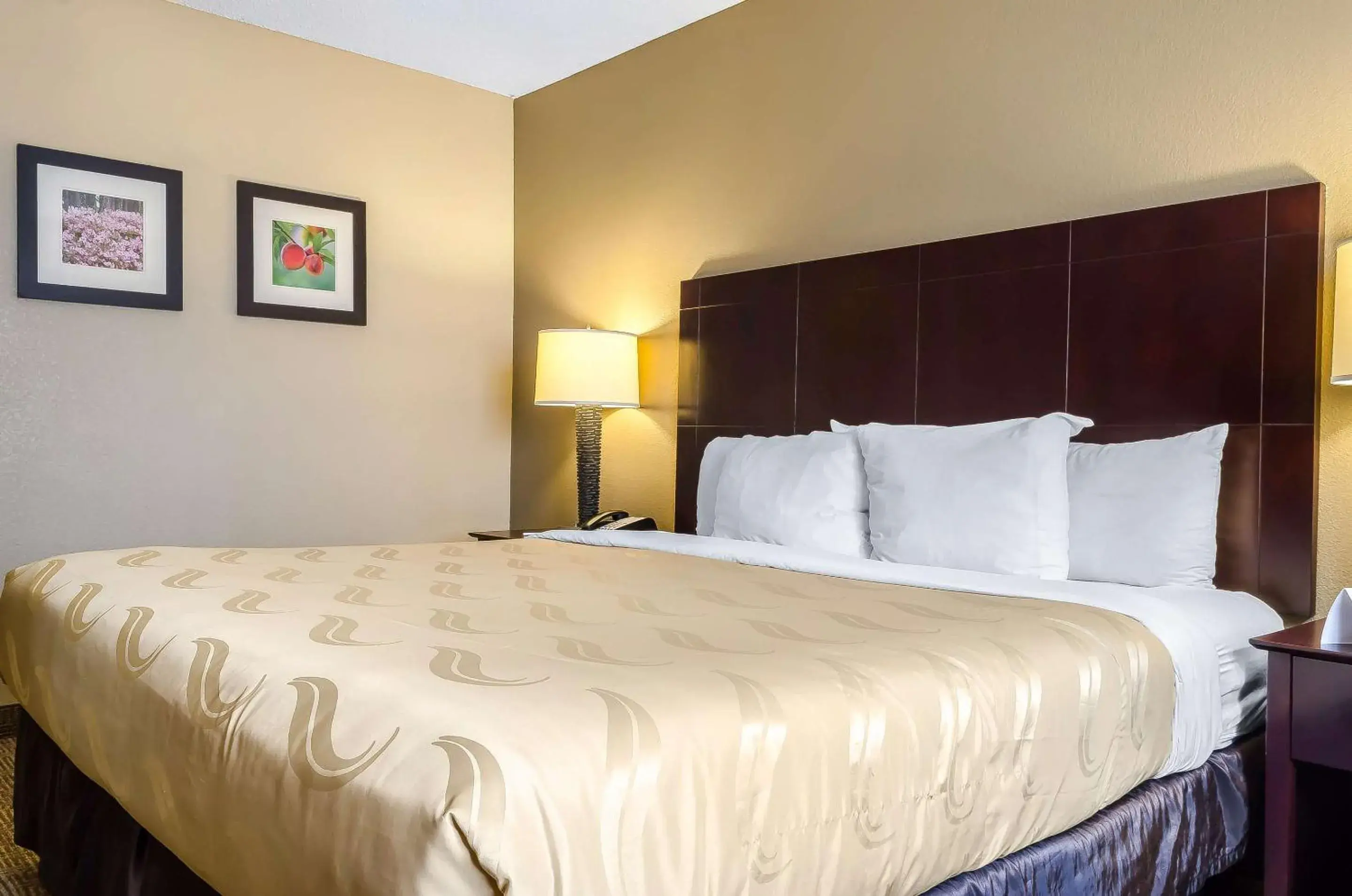 Bedroom, Bed in Quality Inn Ruston Bedroom, Bed in Quality Inn Ruston
