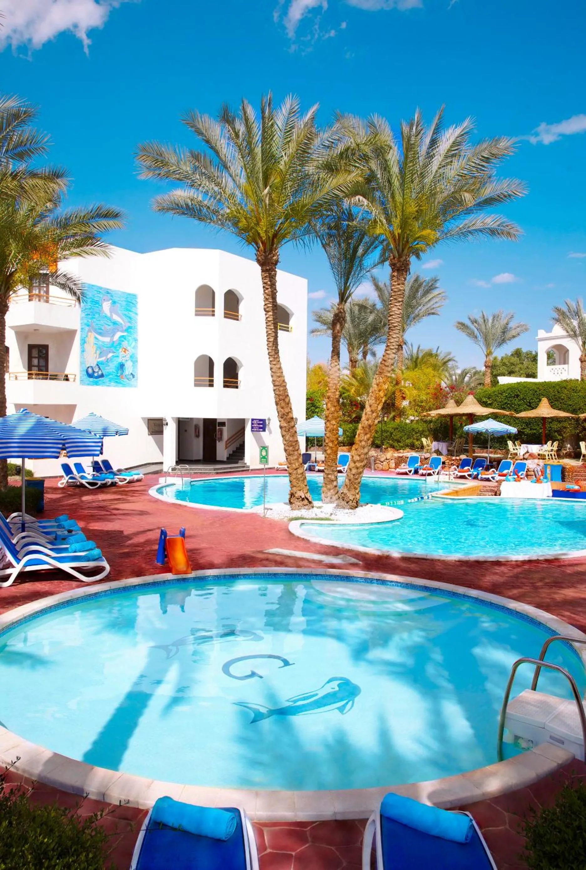 Pool view in Gafy Resort Aqua Park