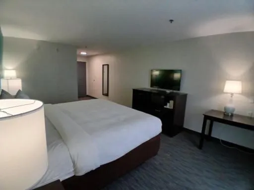 Bed in Quality Inn & Suites Houma