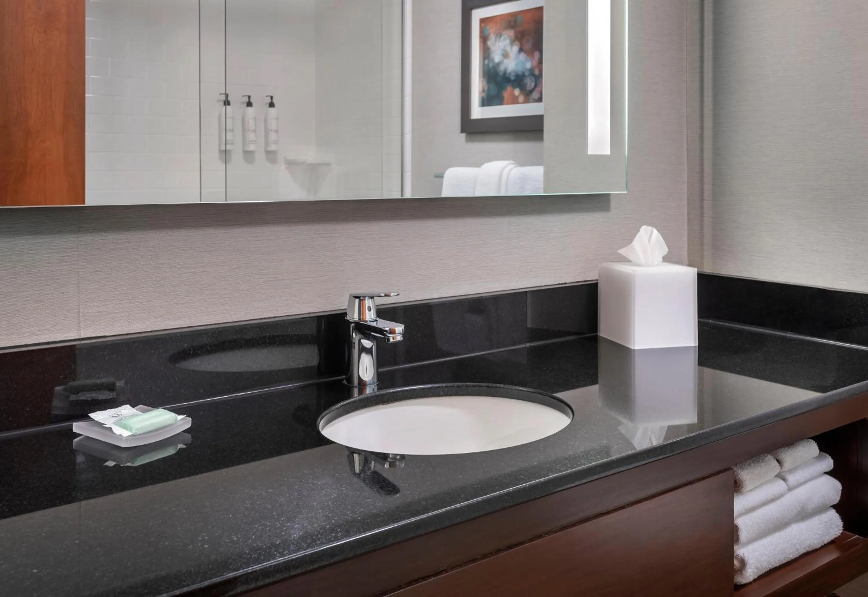 Bathroom in Fairfield Inn & Suites by Marriott Great Barrington Lenox/Berkshires