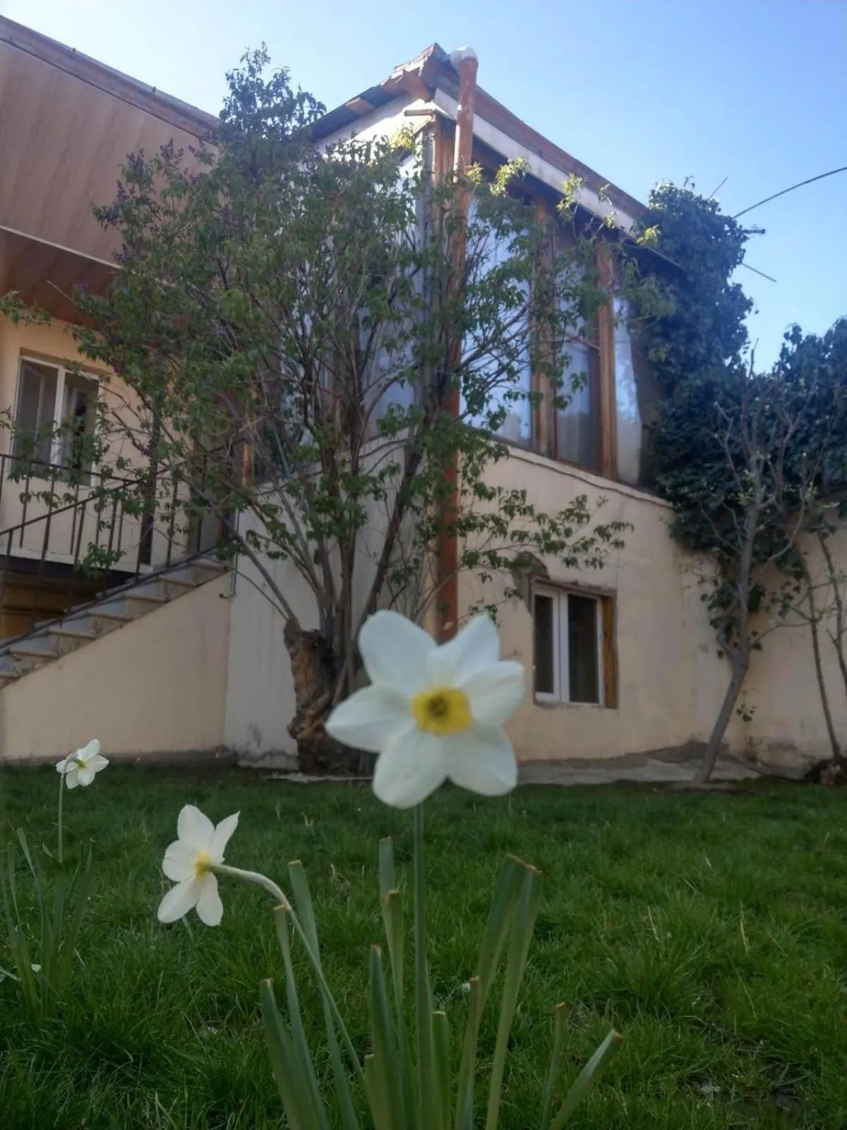 Li Yes Yerevan hotel