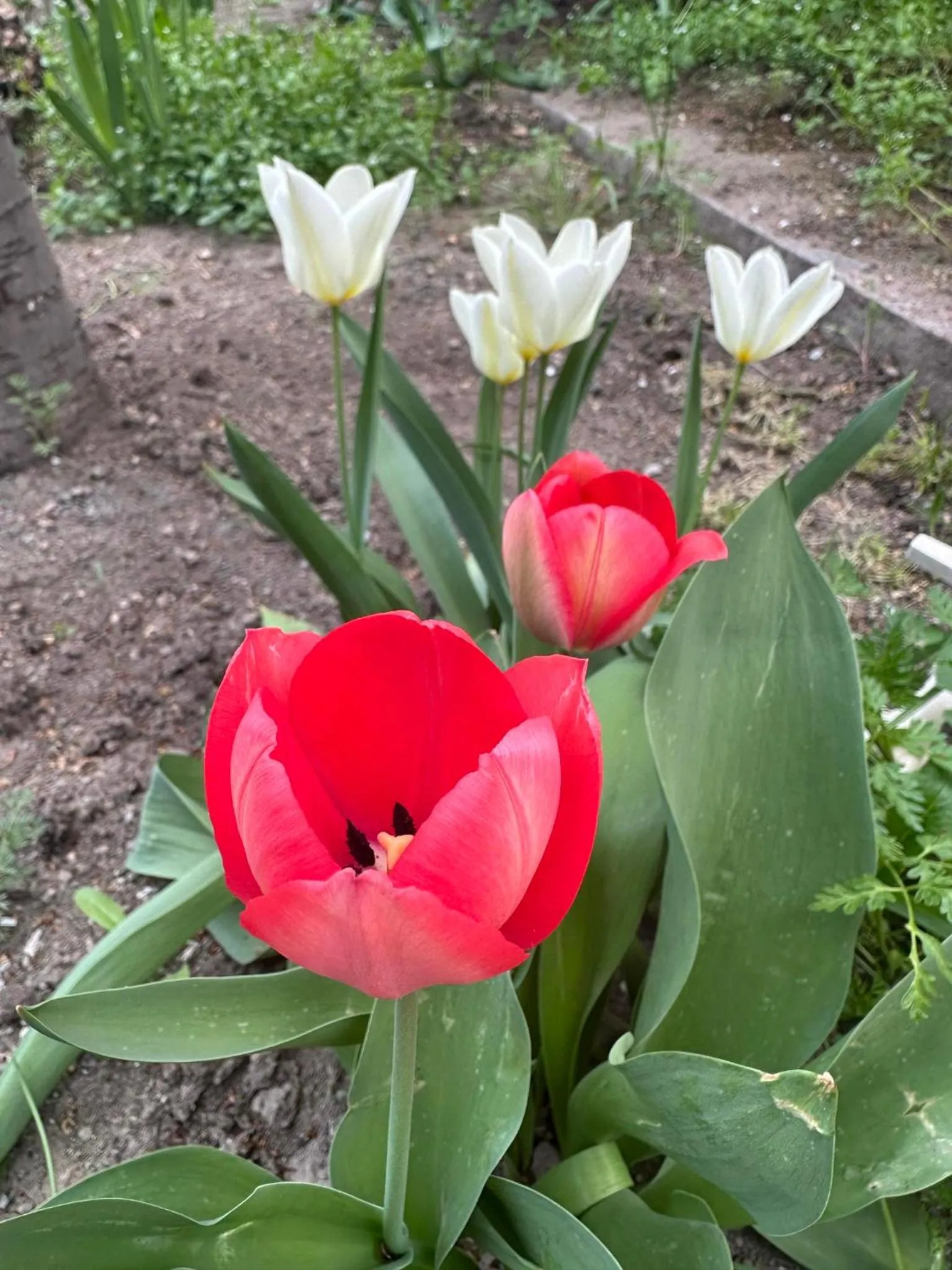 Li Yes Yerevan hotel