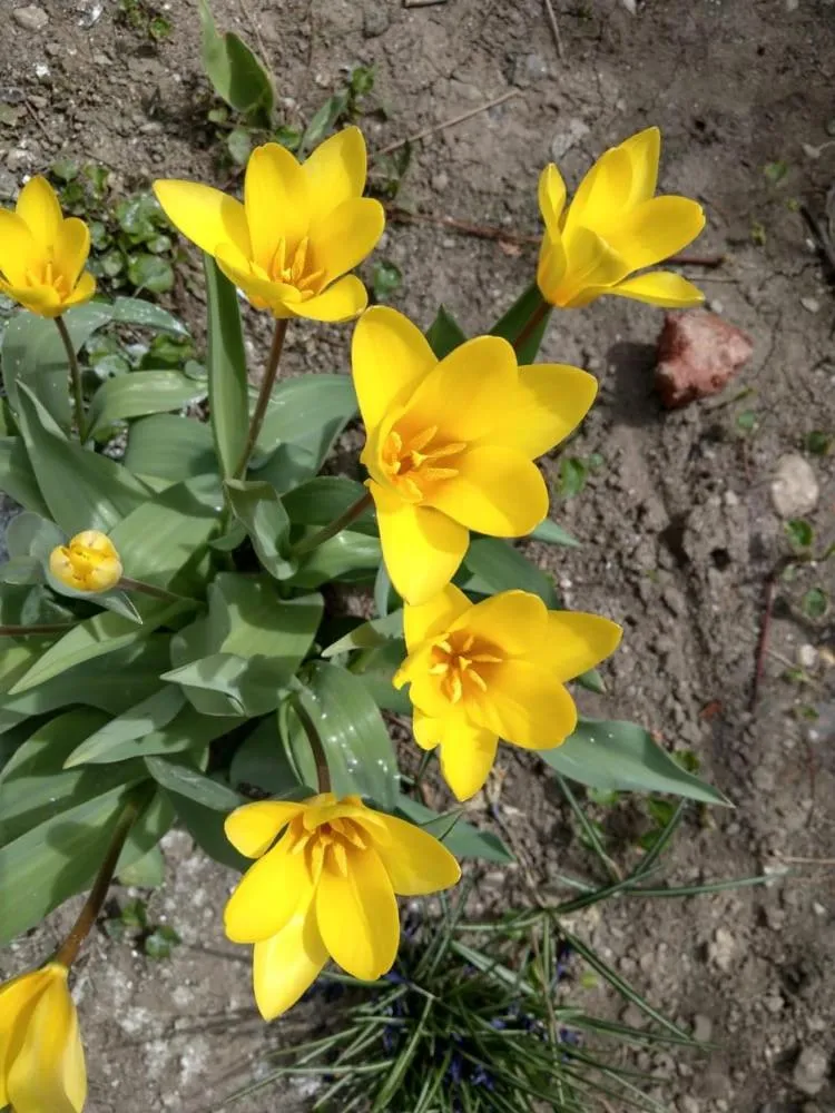 Li Yes Yerevan hotel