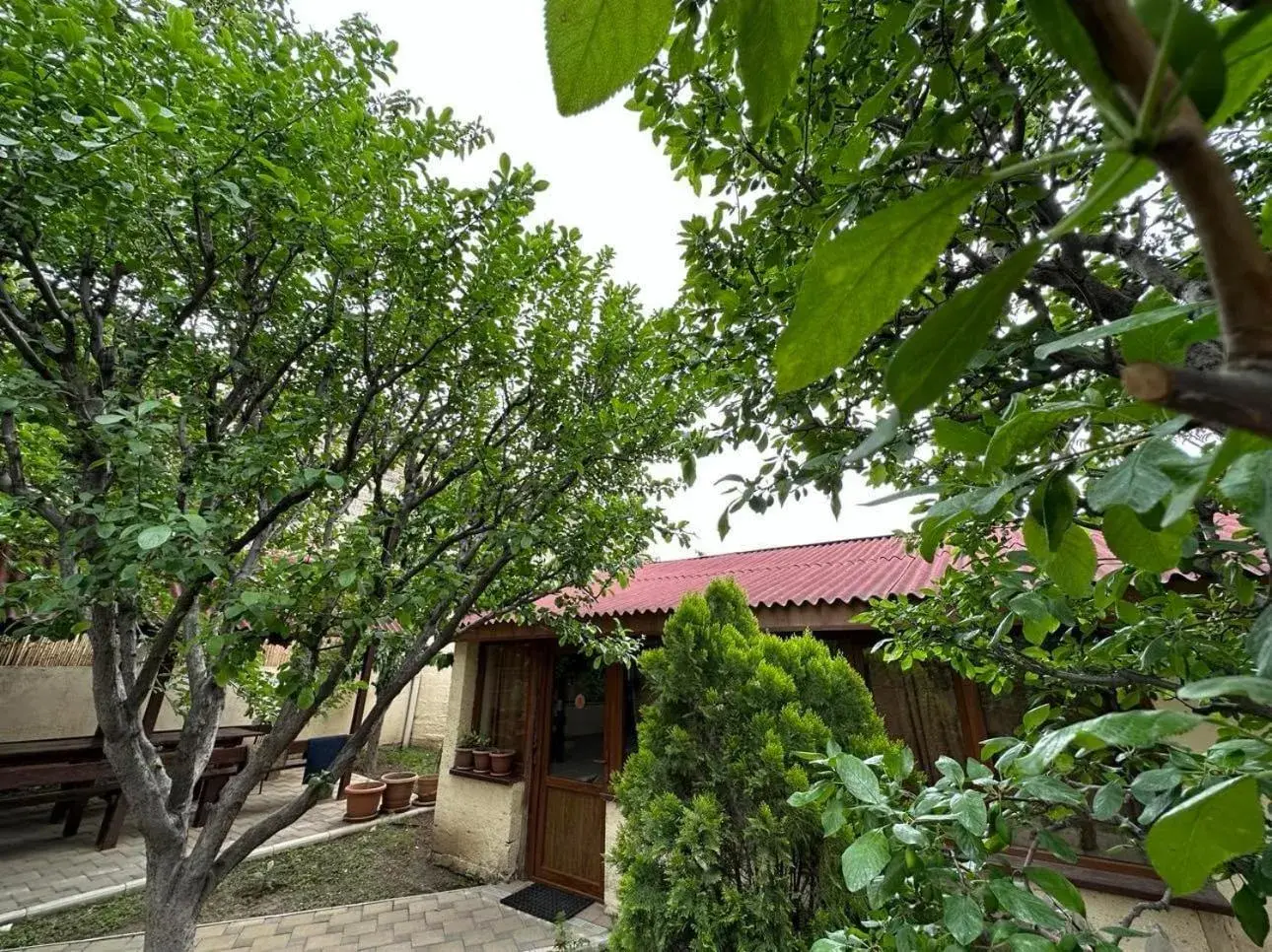 Double Room with Garden View in Li Yes Yerevan hotel Double Room with Garden View in Li Yes Yerevan hotel