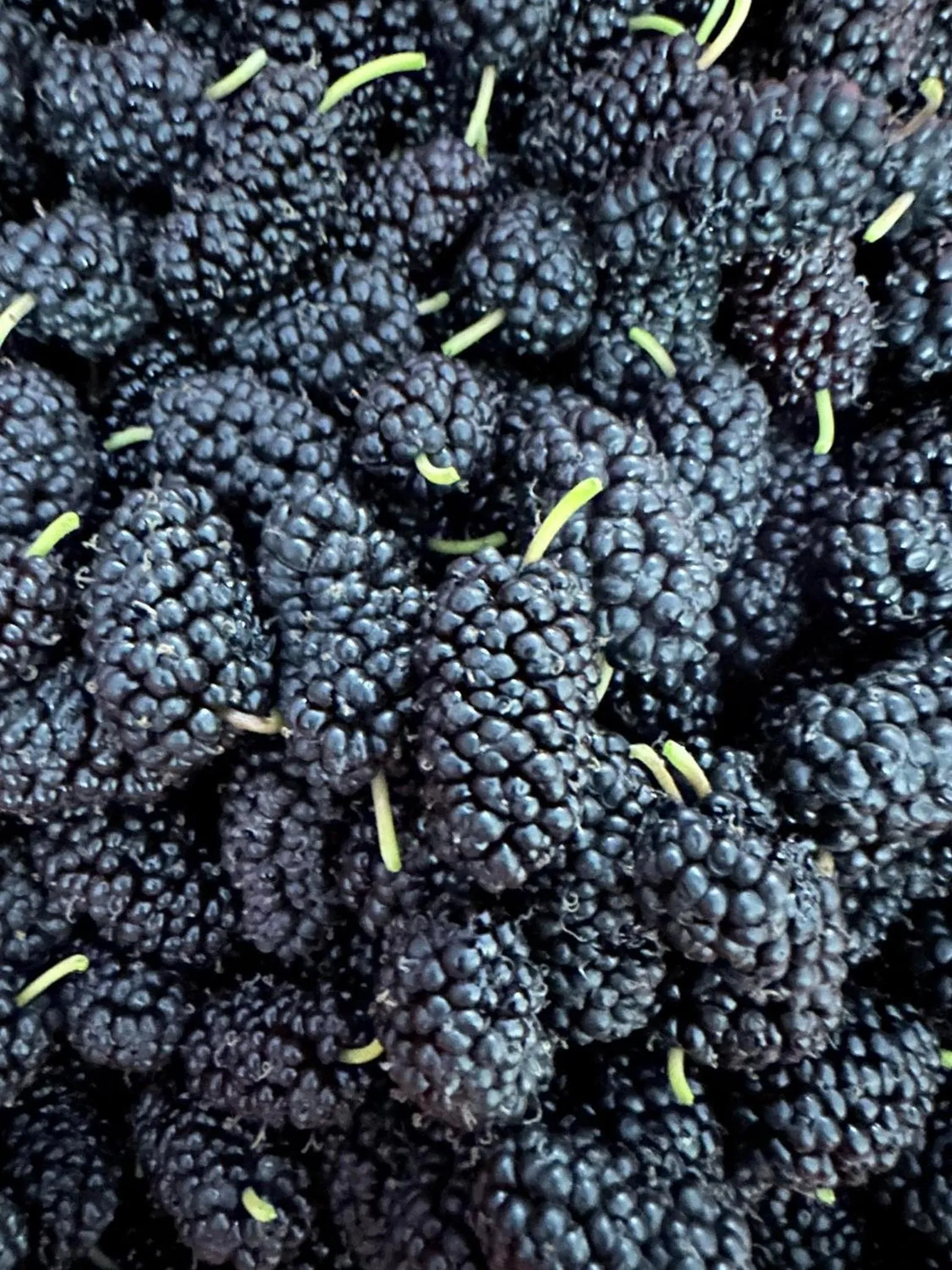 Li Yes Yerevan hotel