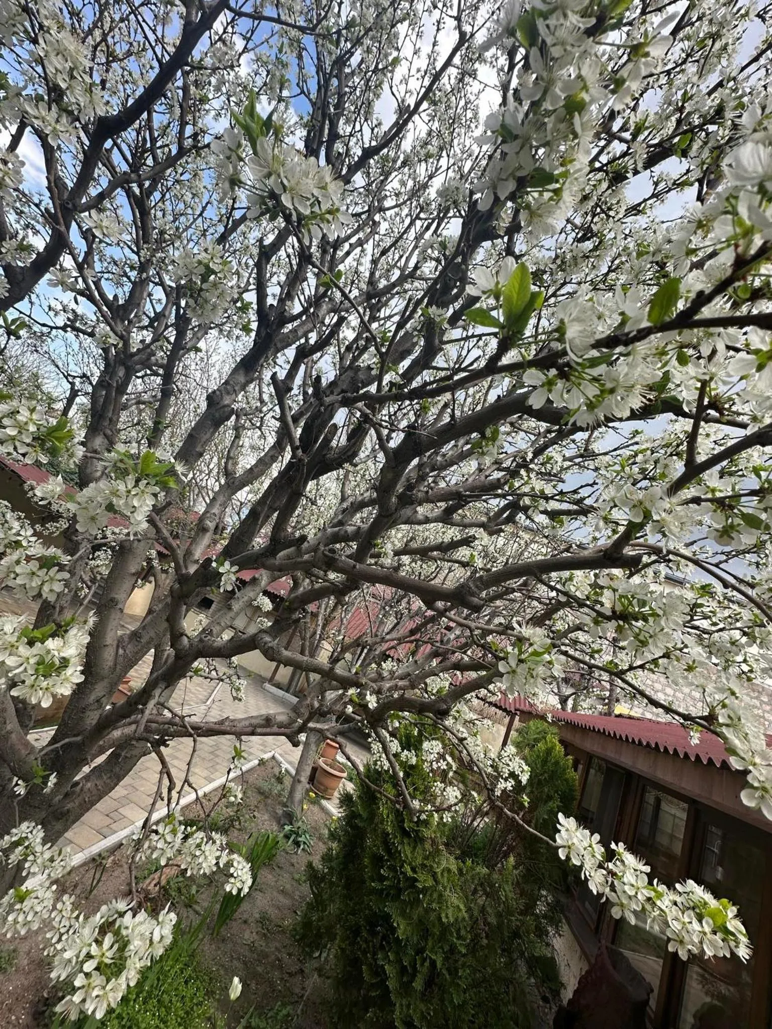 Li Yes Yerevan hotel