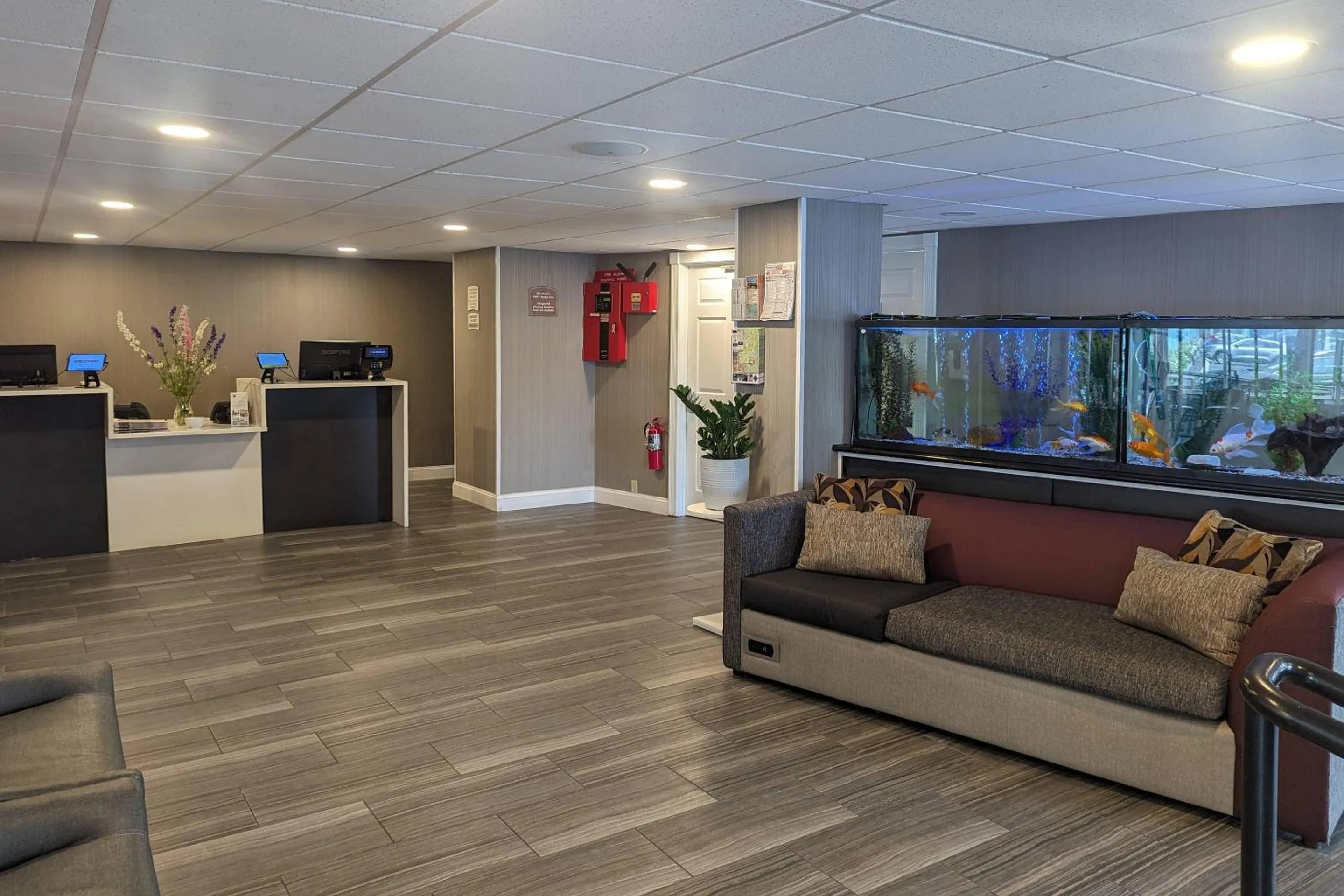 Lobby or reception in Quality Inn & Suites Northampton - Amherst
