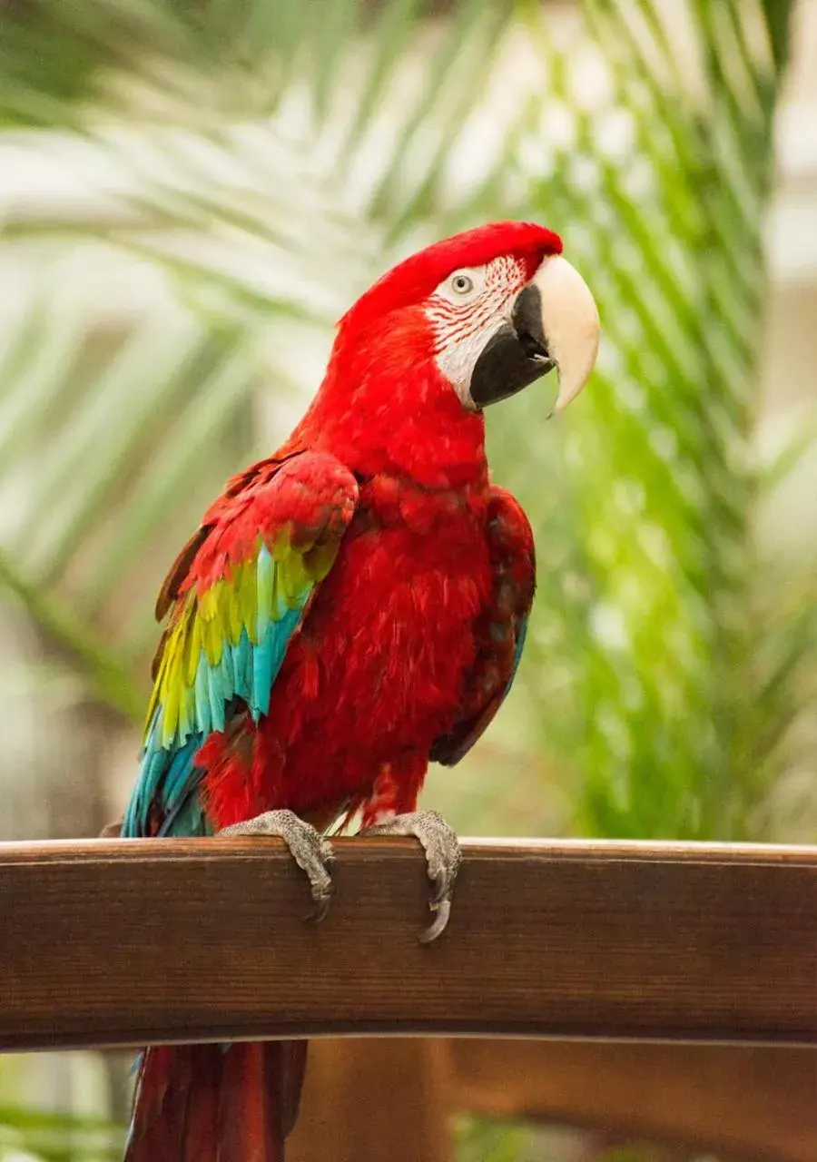 Property building in Quality Inn Oceanfront Property building in Quality Inn Oceanfront