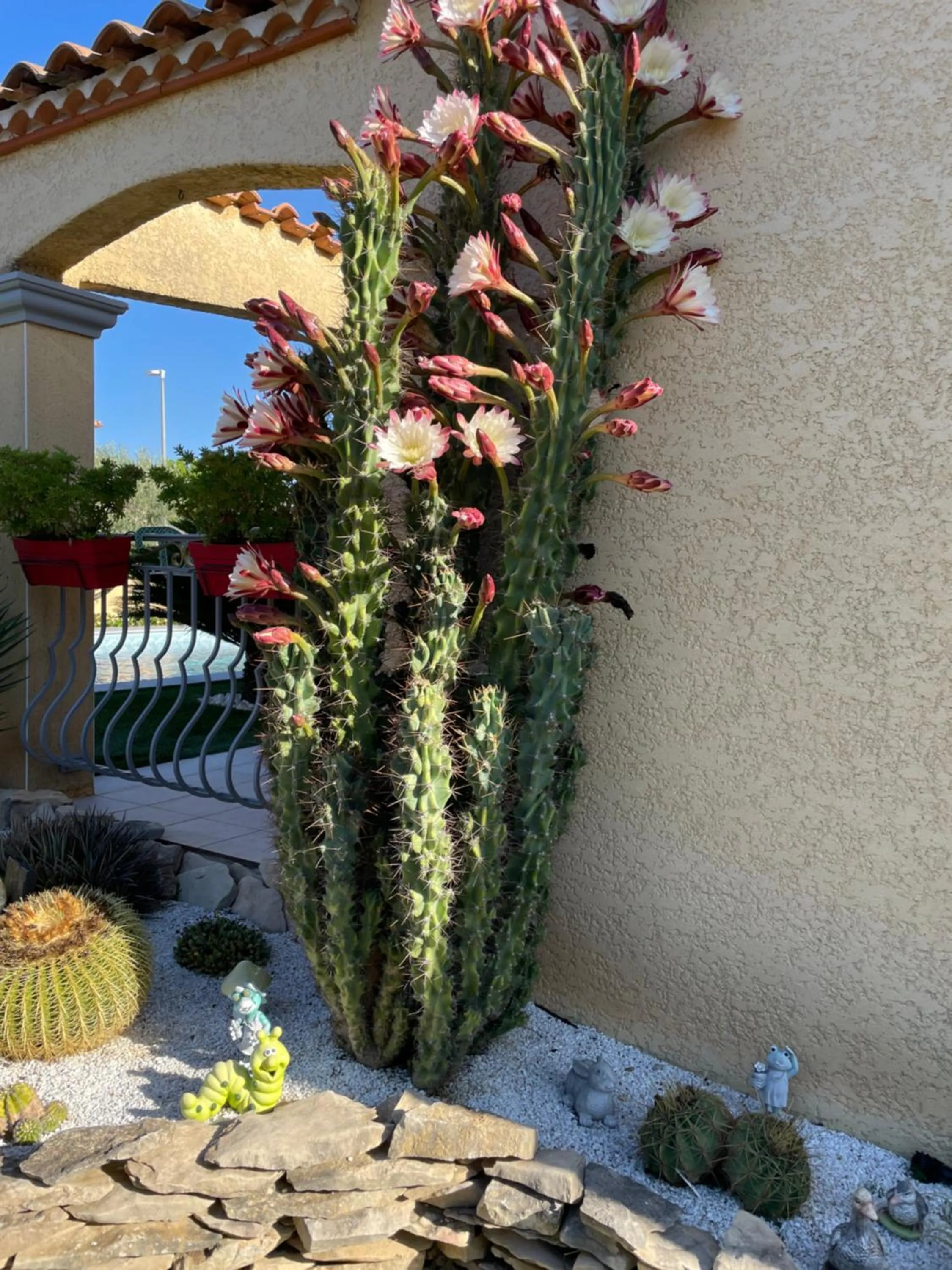 Garden view in Chambre avec charme