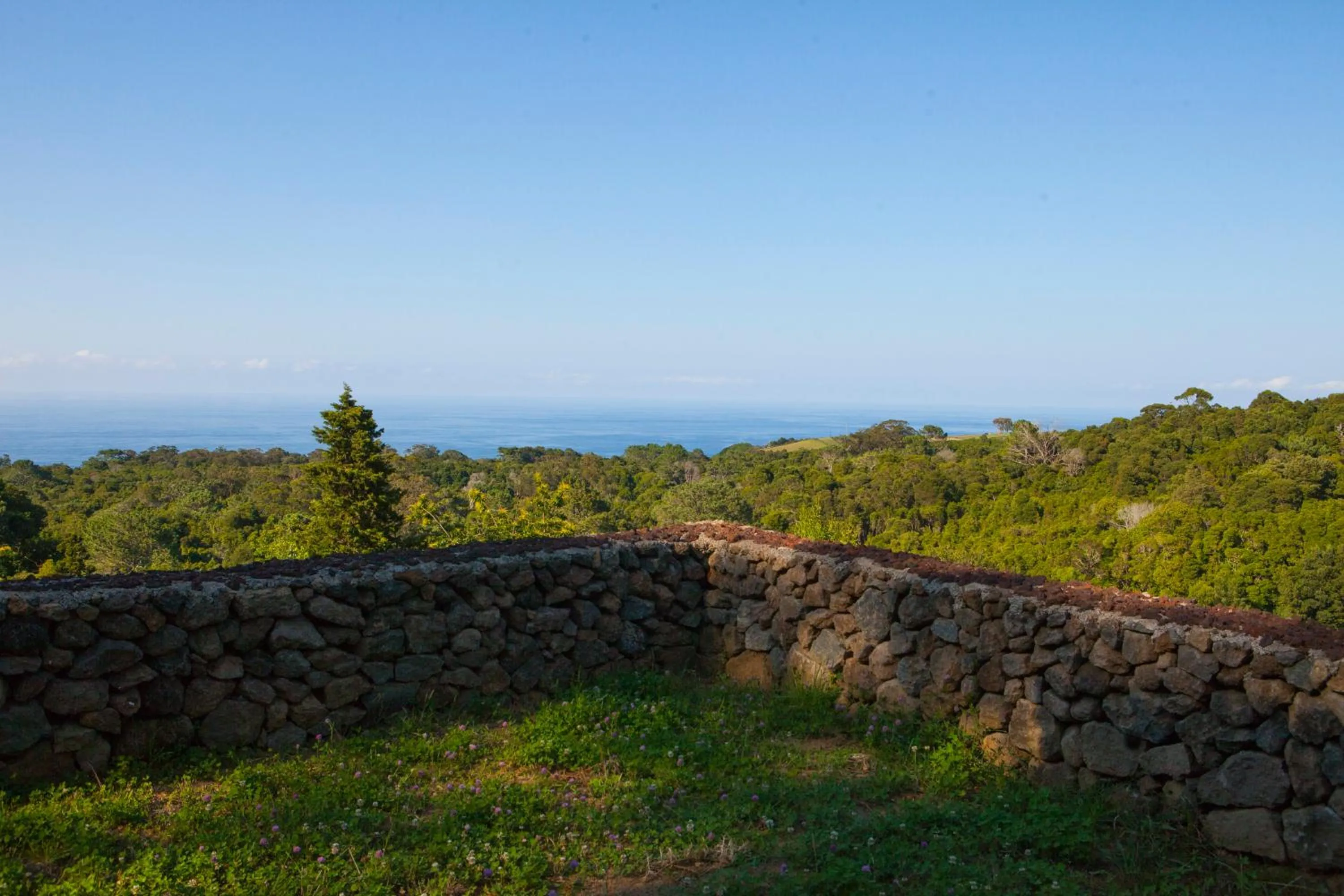 Natural landscape in Caparica Azores Ecolodge
