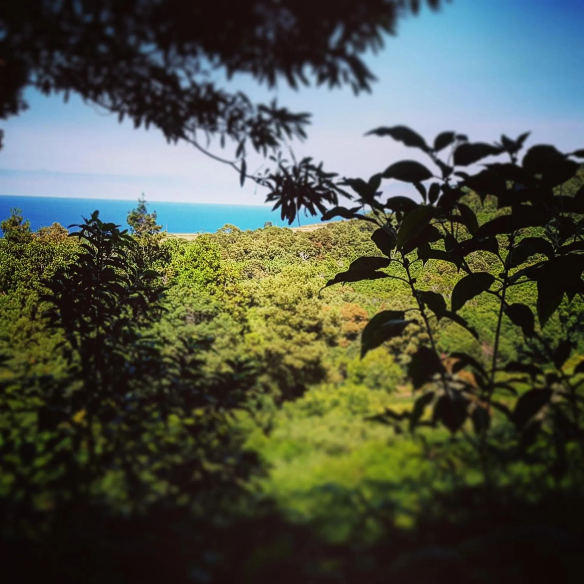 Natural landscape in Caparica Azores Ecolodge