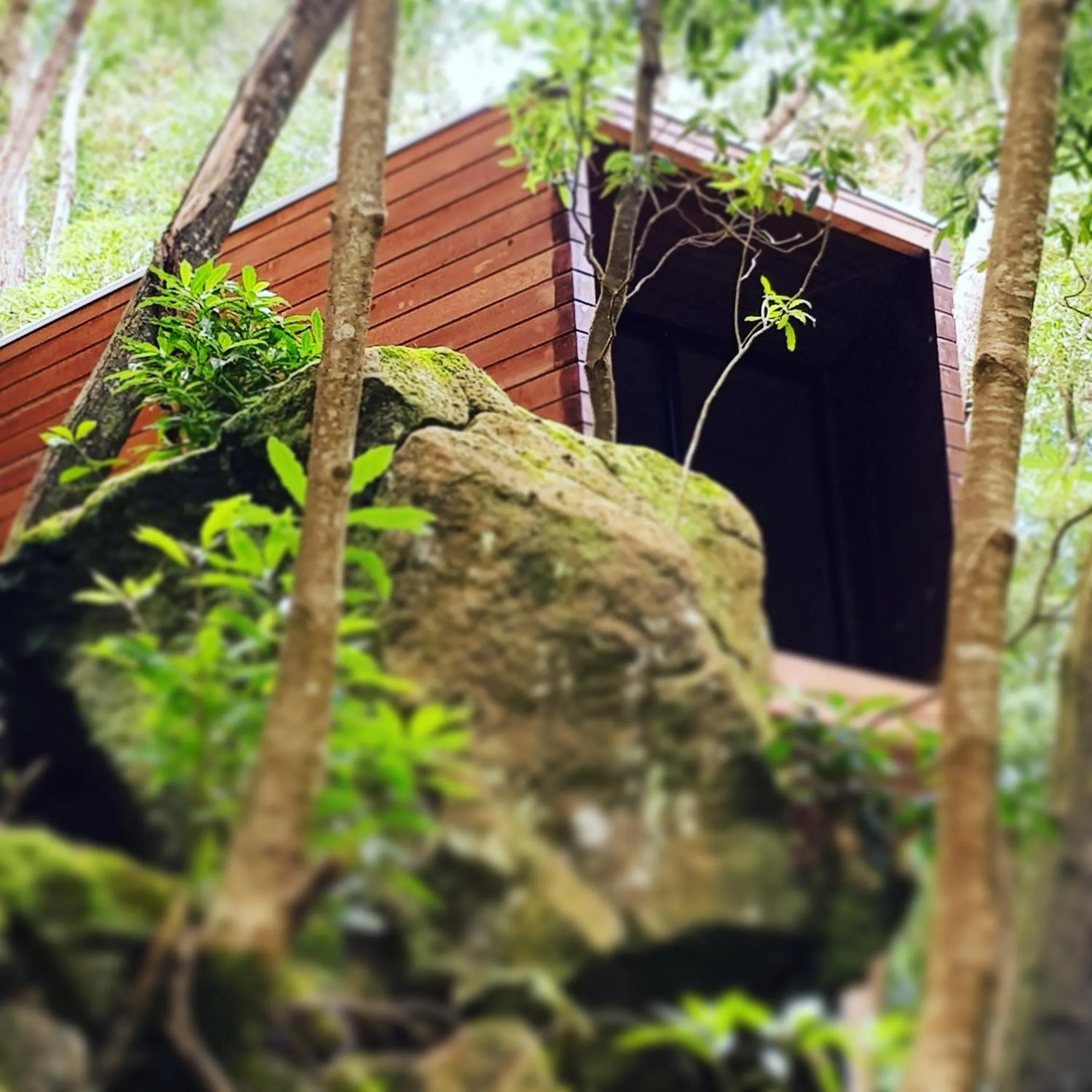 Natural landscape in Caparica Azores Ecolodge