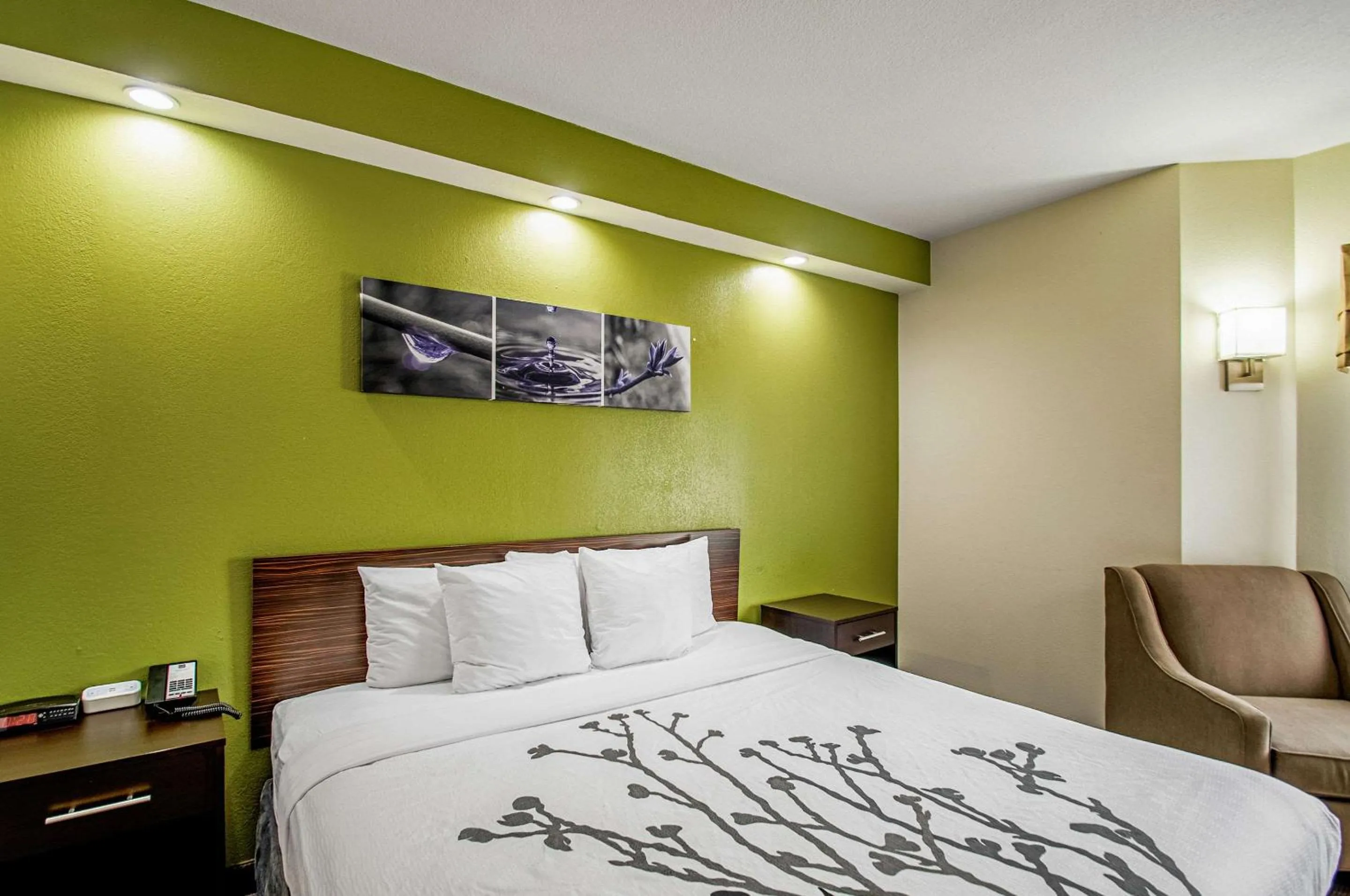 Photo of the whole room, Bed in Sleep Inn Frederick - Ballenger Creek