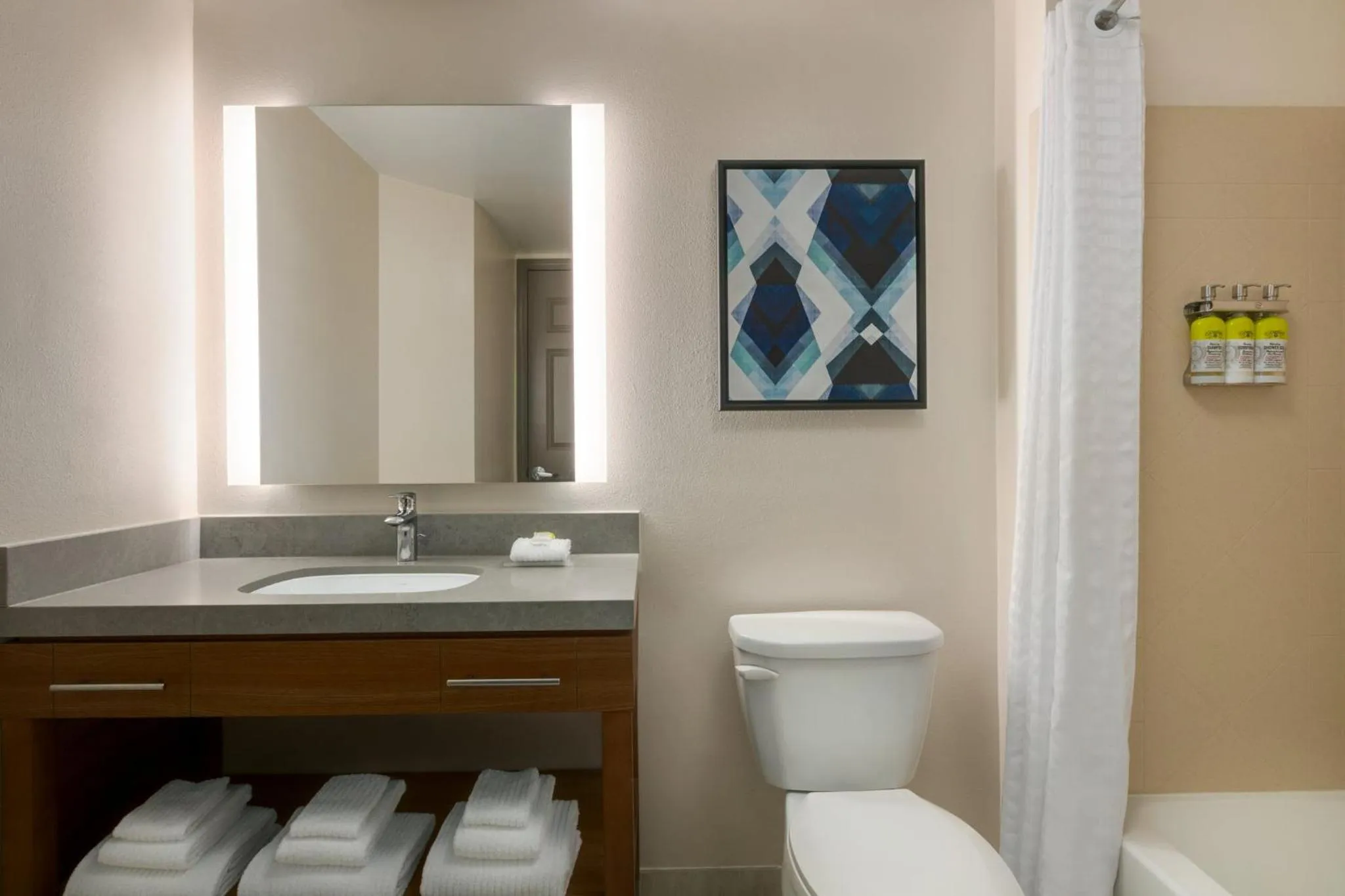 Bathroom in Candlewood Suites Frederick by IHG