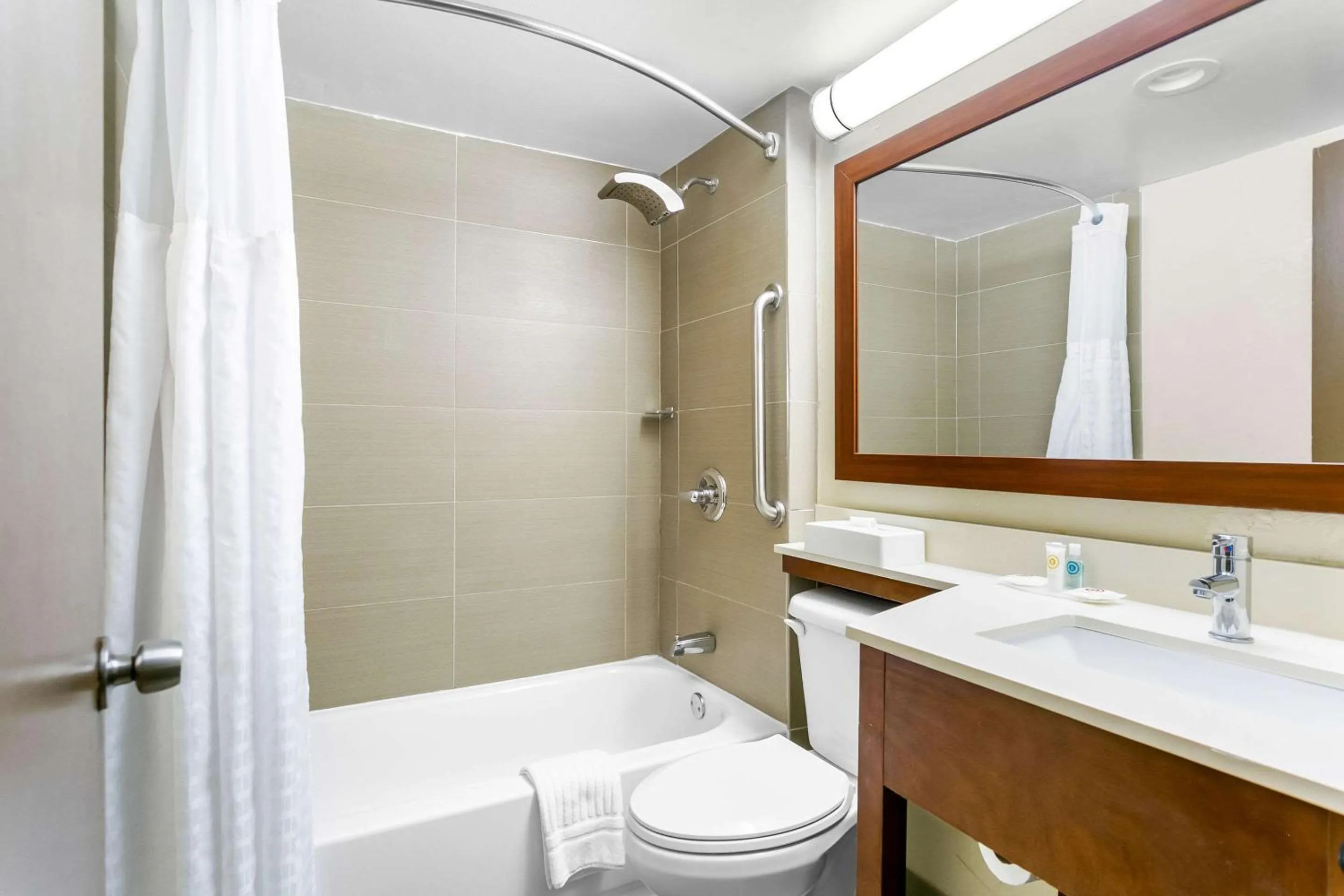 Bathroom in Comfort Inn Red Horse Frederick