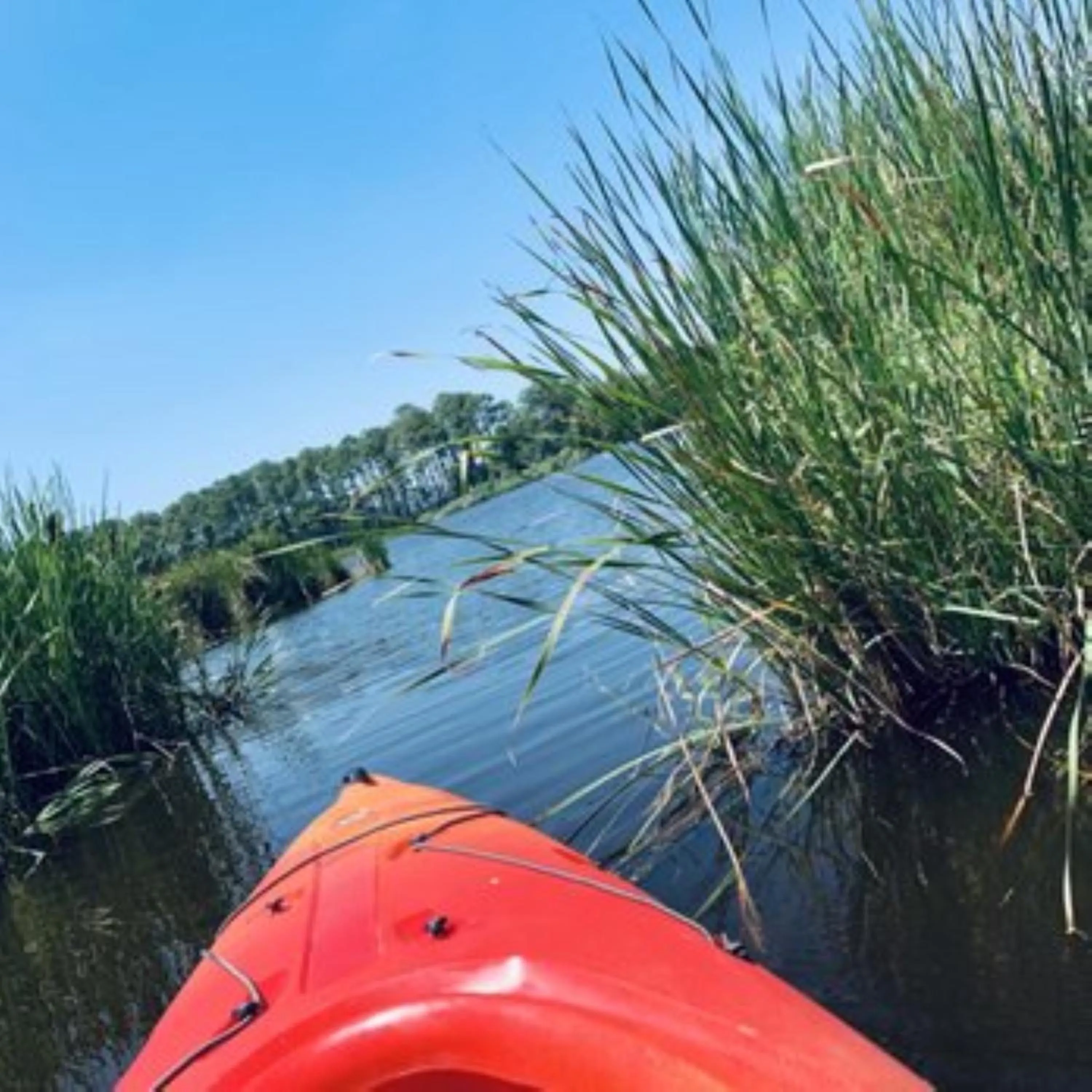 Natural landscape in Comfort Inn & Suites Cambridge