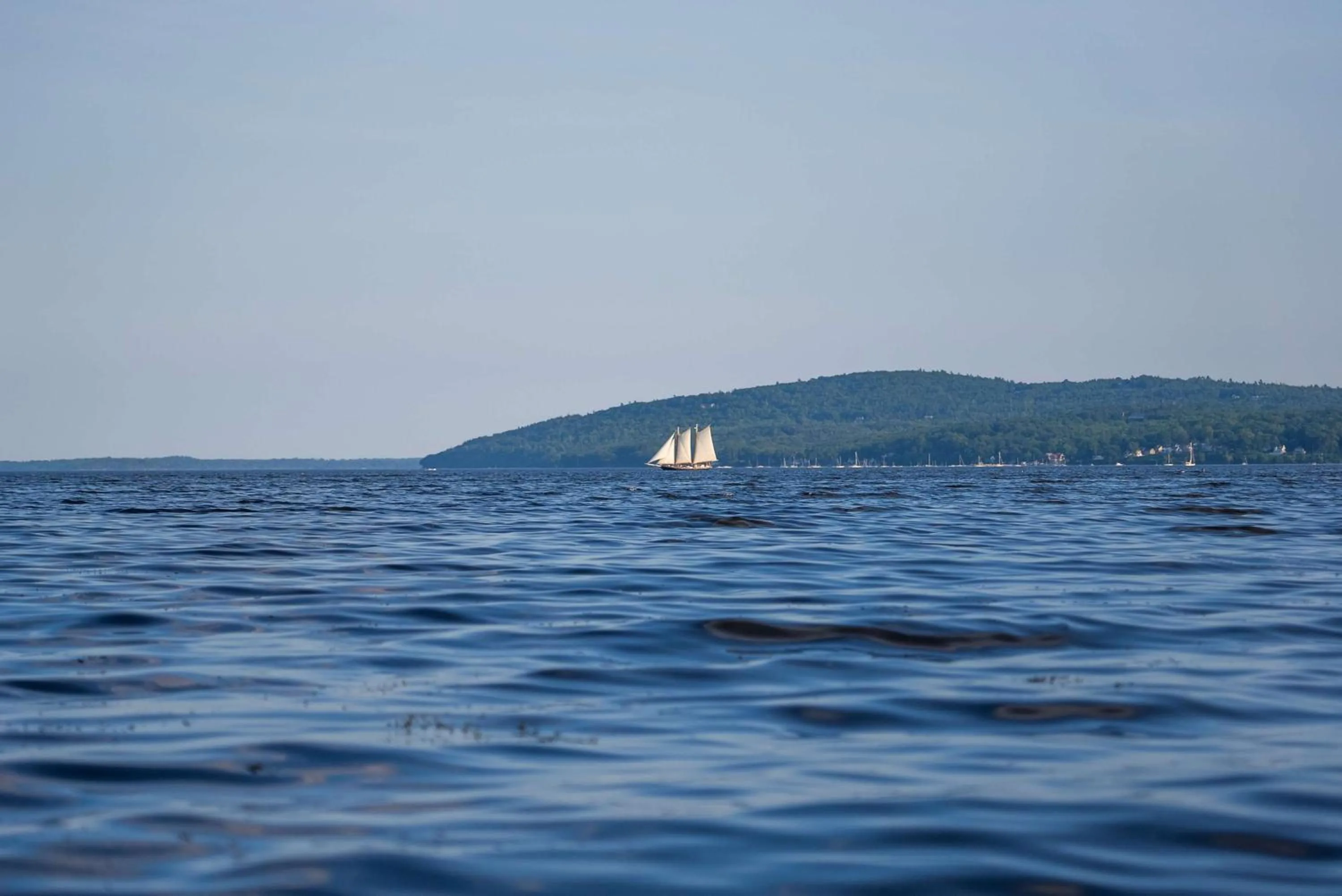 View (from property/room) in Fireside Inn, Ocean's Edge