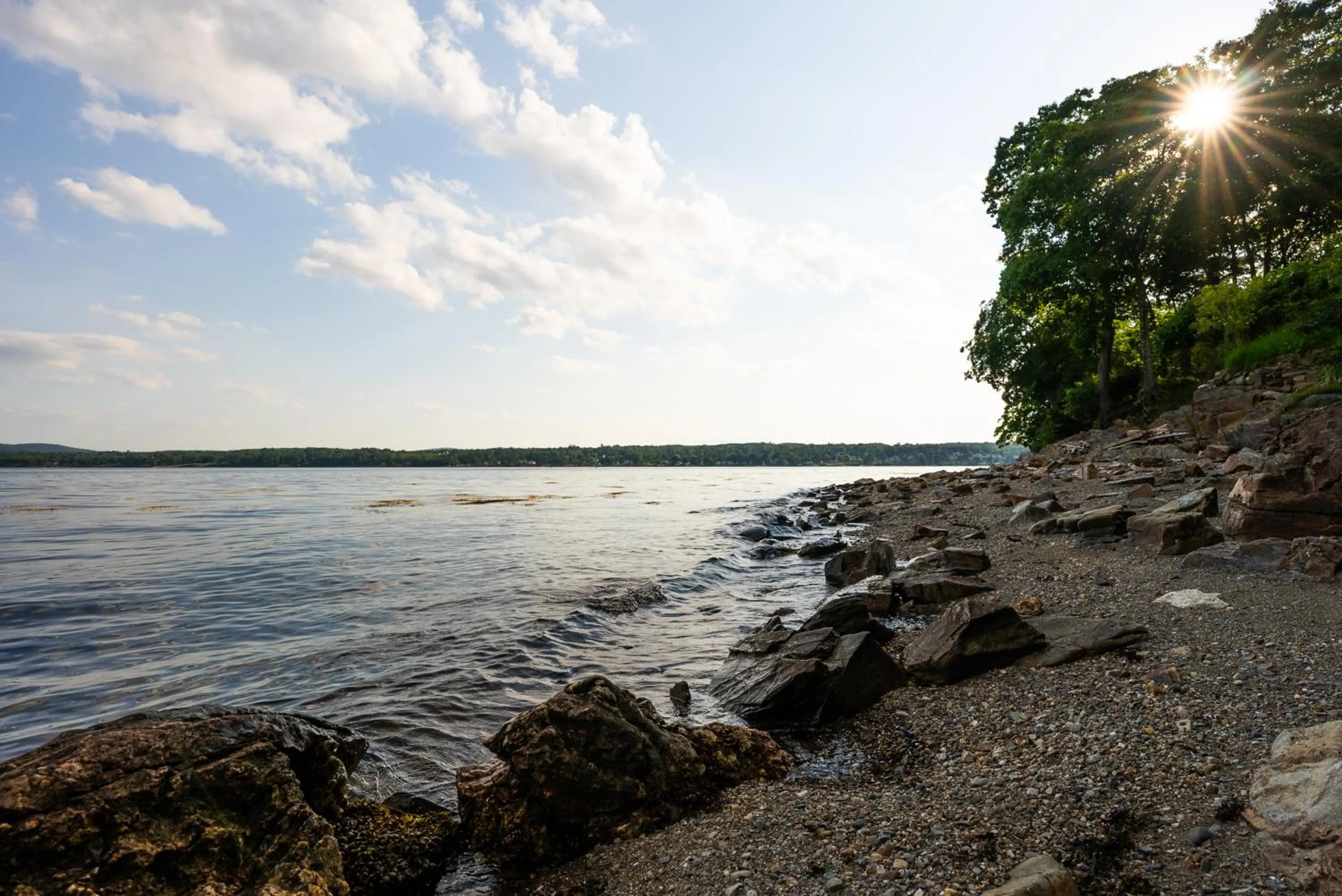 Beach in Fireside Inn, Ocean's Edge