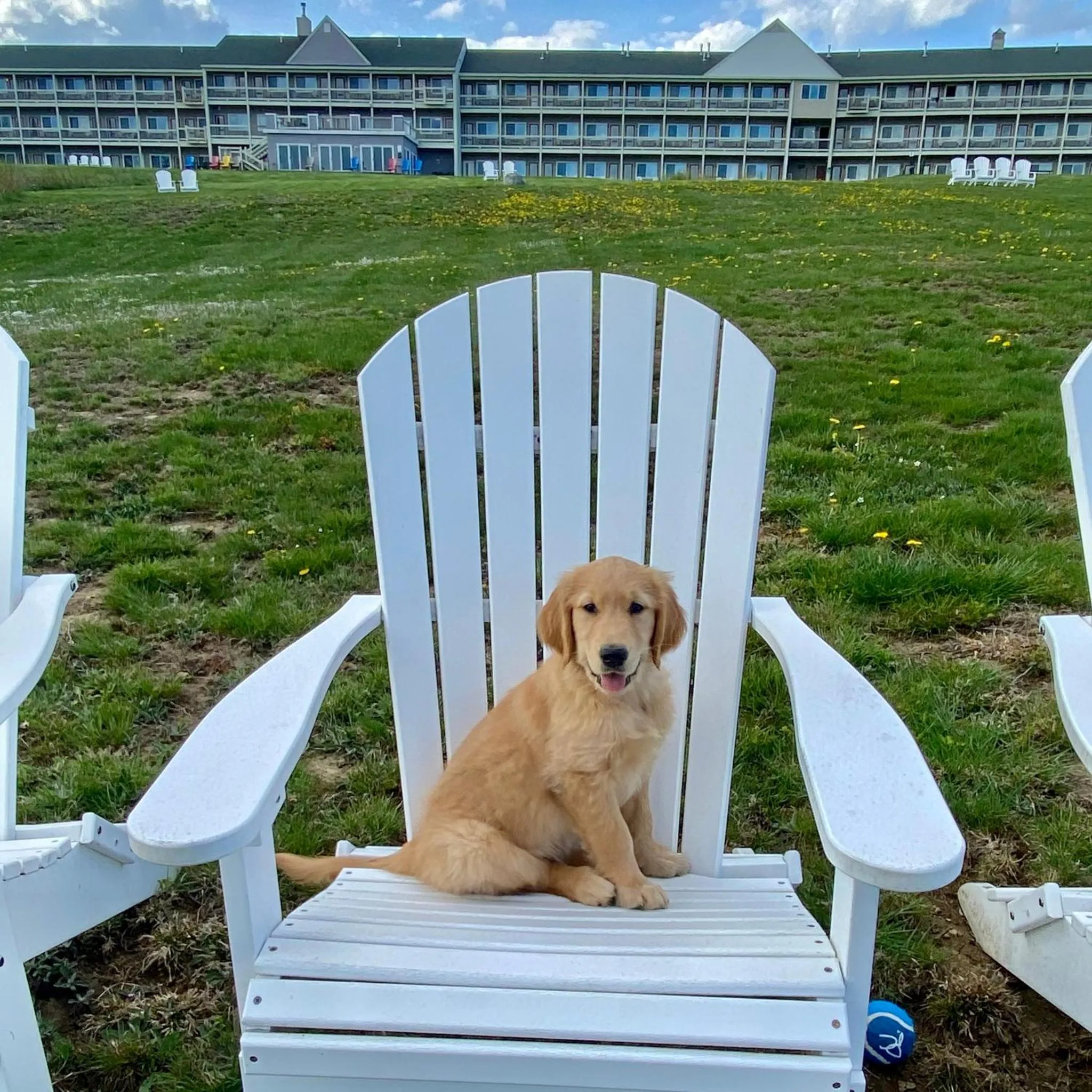 pet friendly in Fireside Inn, Ocean's Edge