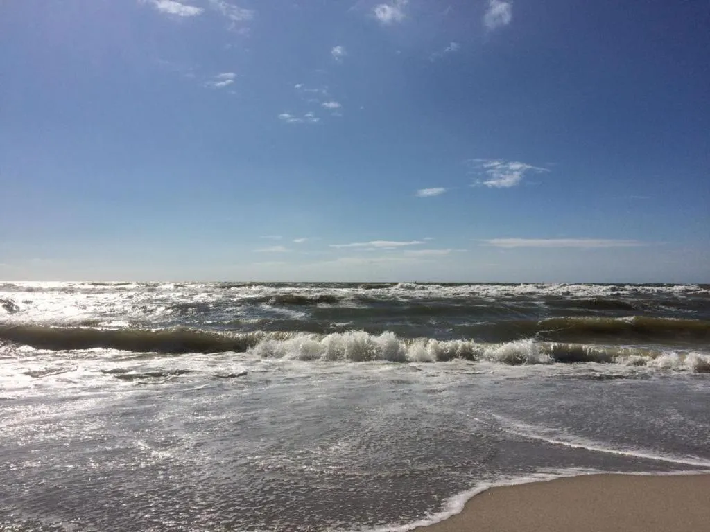 Beach in Oostvoornsch Gastenverblijf