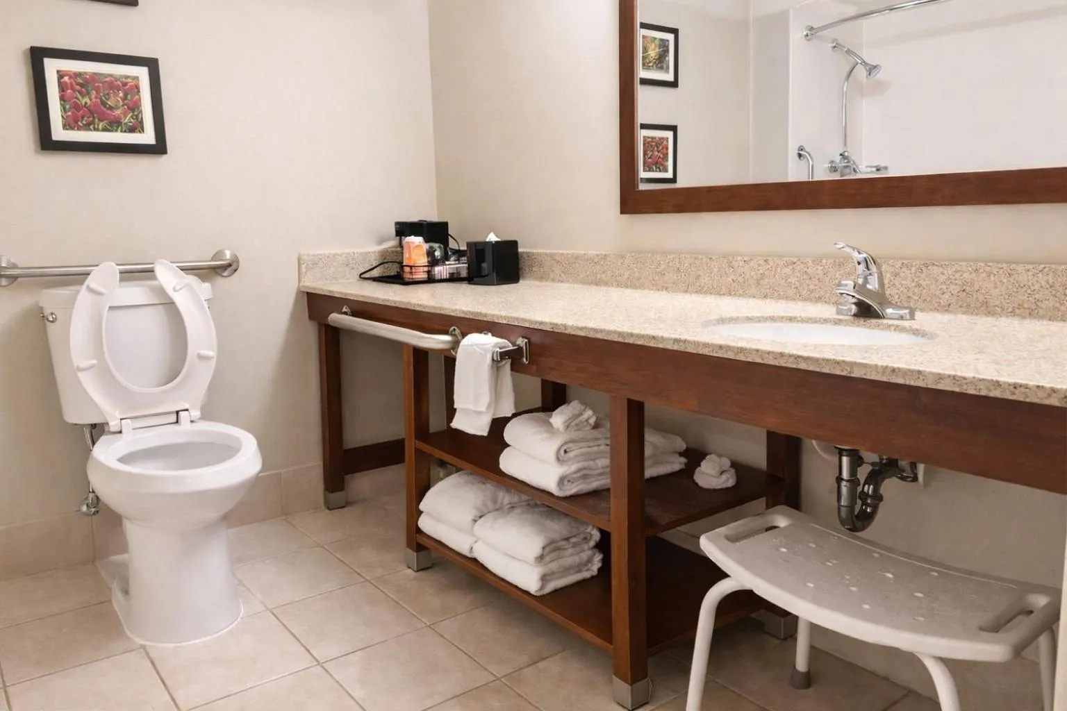 Bathroom in Comfort Inn Farmington Hills - Novi-Royal oaks-Southfield-Detroit Northwest