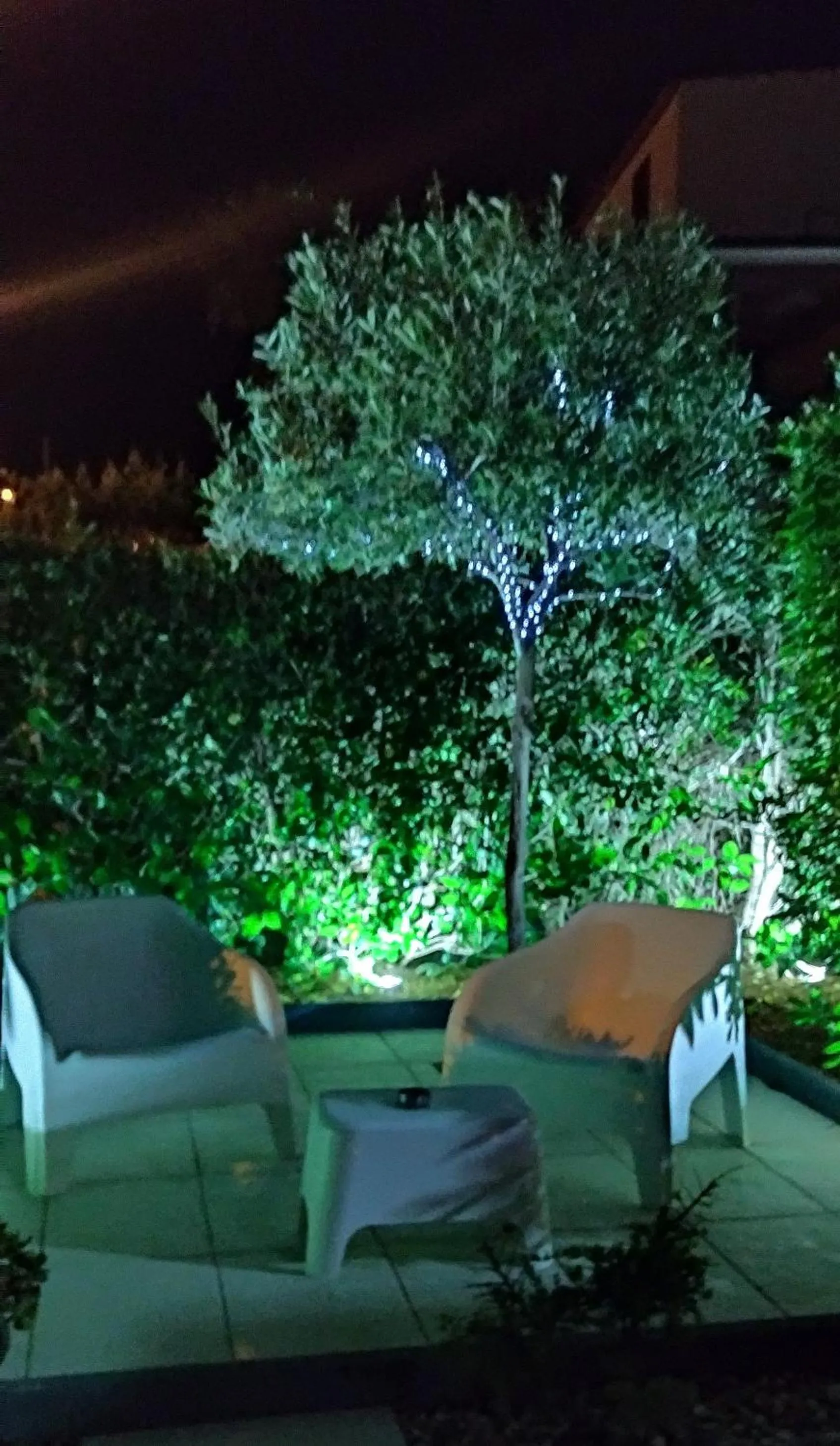 Garden in B&B La Munachell