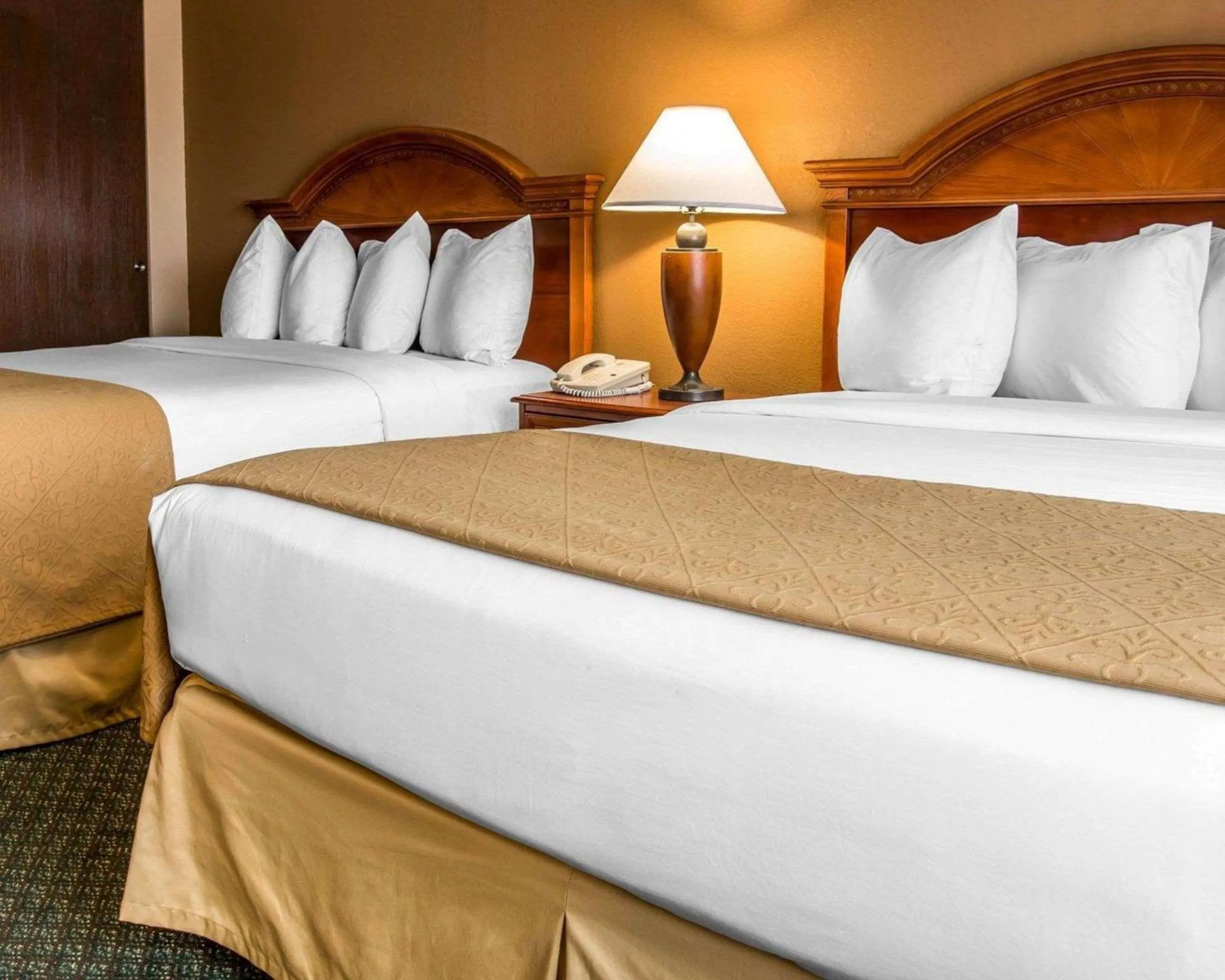 Photo of the whole room, Bed in Quality Inn