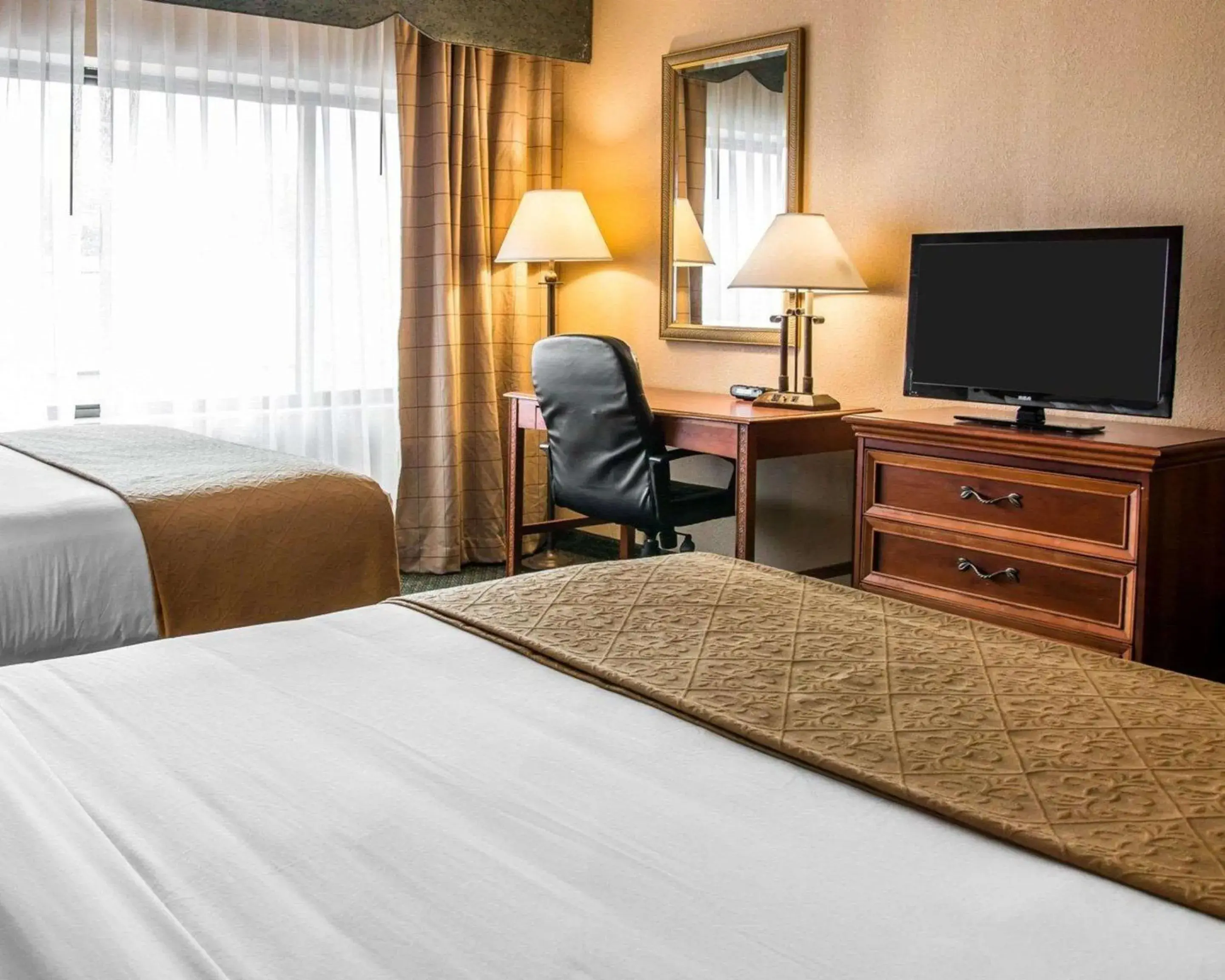 Photo of the whole room, Bed in Quality Inn Photo of the whole room, Bed in Quality Inn