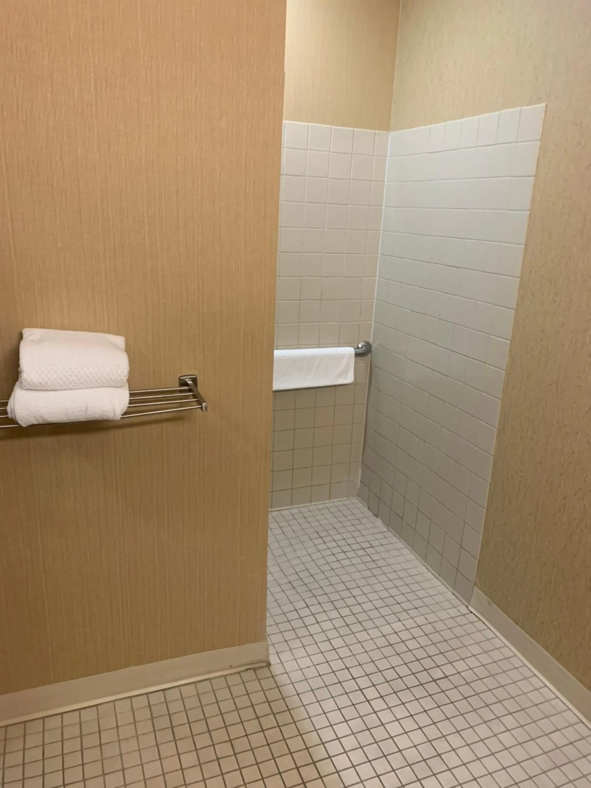 Bathroom in Comfort Inn Chelsea