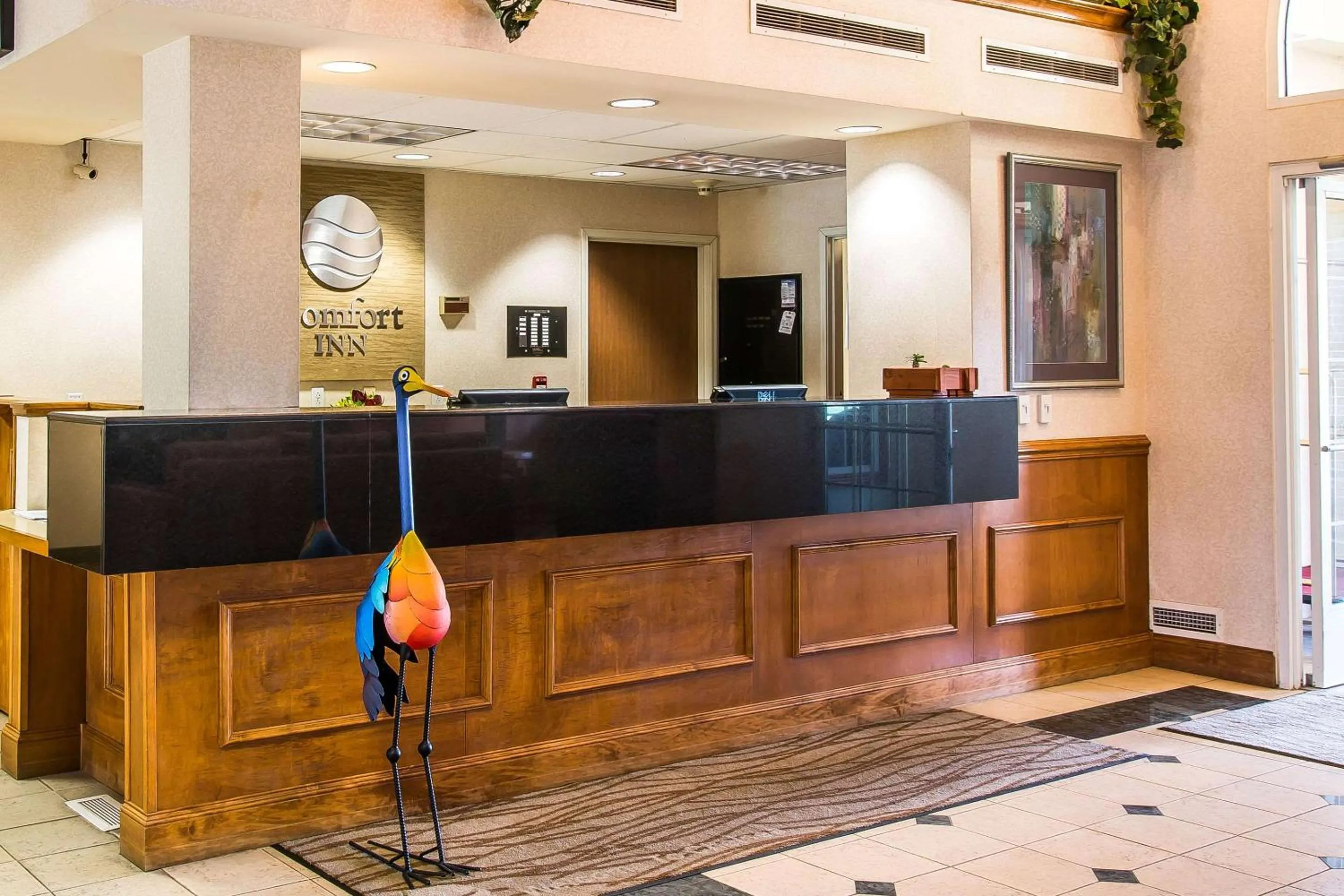 Lobby or reception in Comfort Inn Chelsea