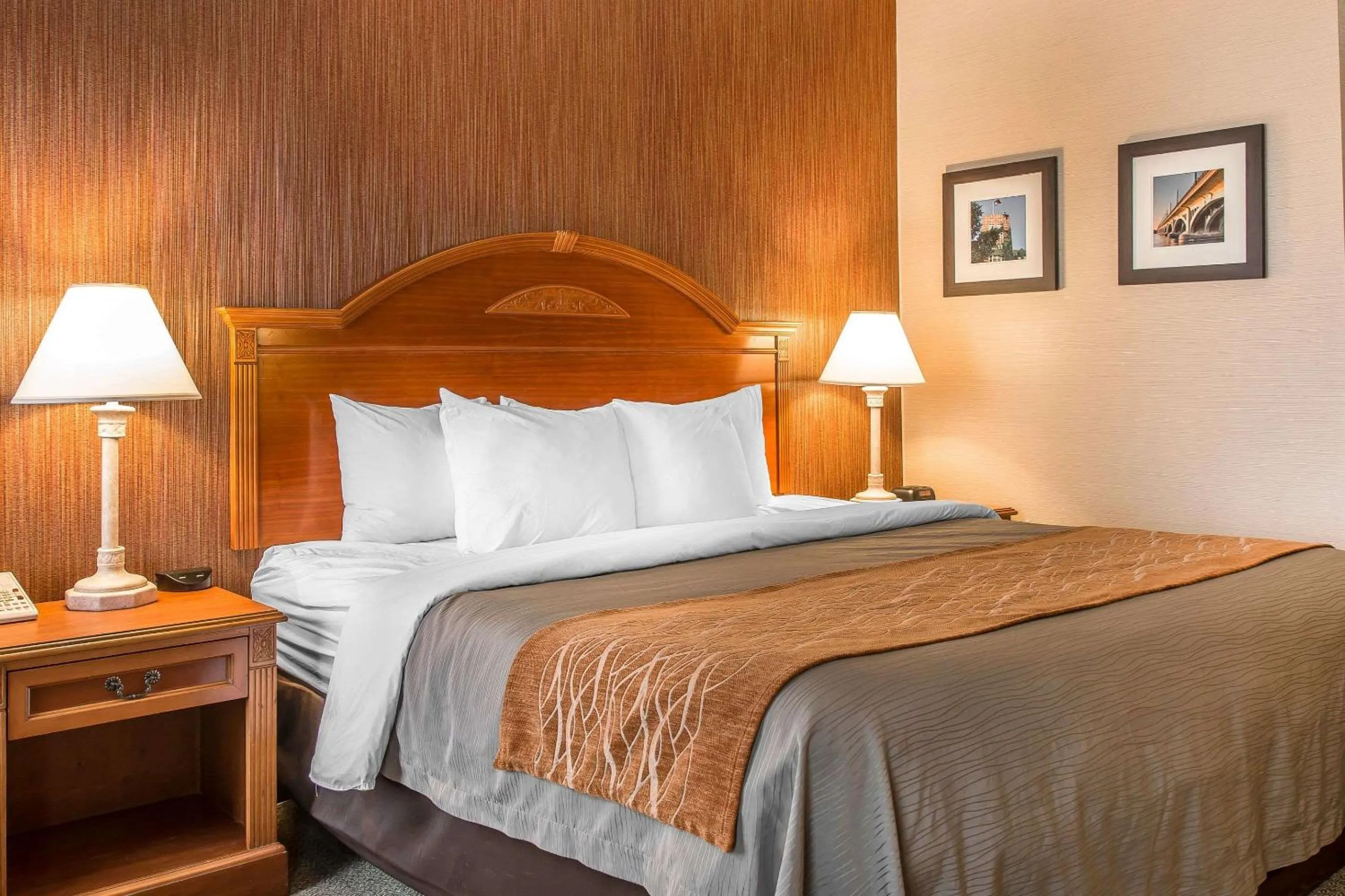 Photo of the whole room, Bed in Comfort Inn Chelsea