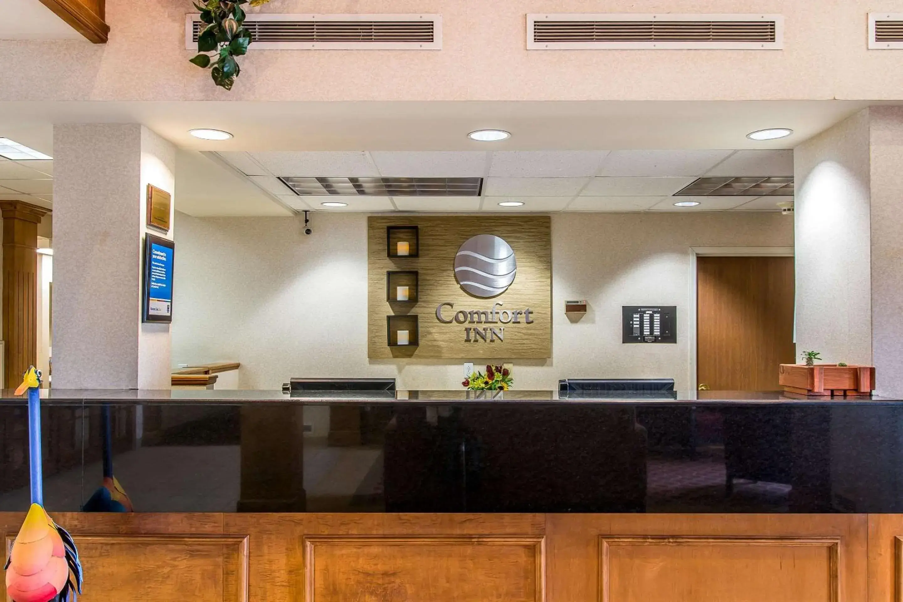 Lobby or reception in Comfort Inn Chelsea Lobby or reception in Comfort Inn Chelsea