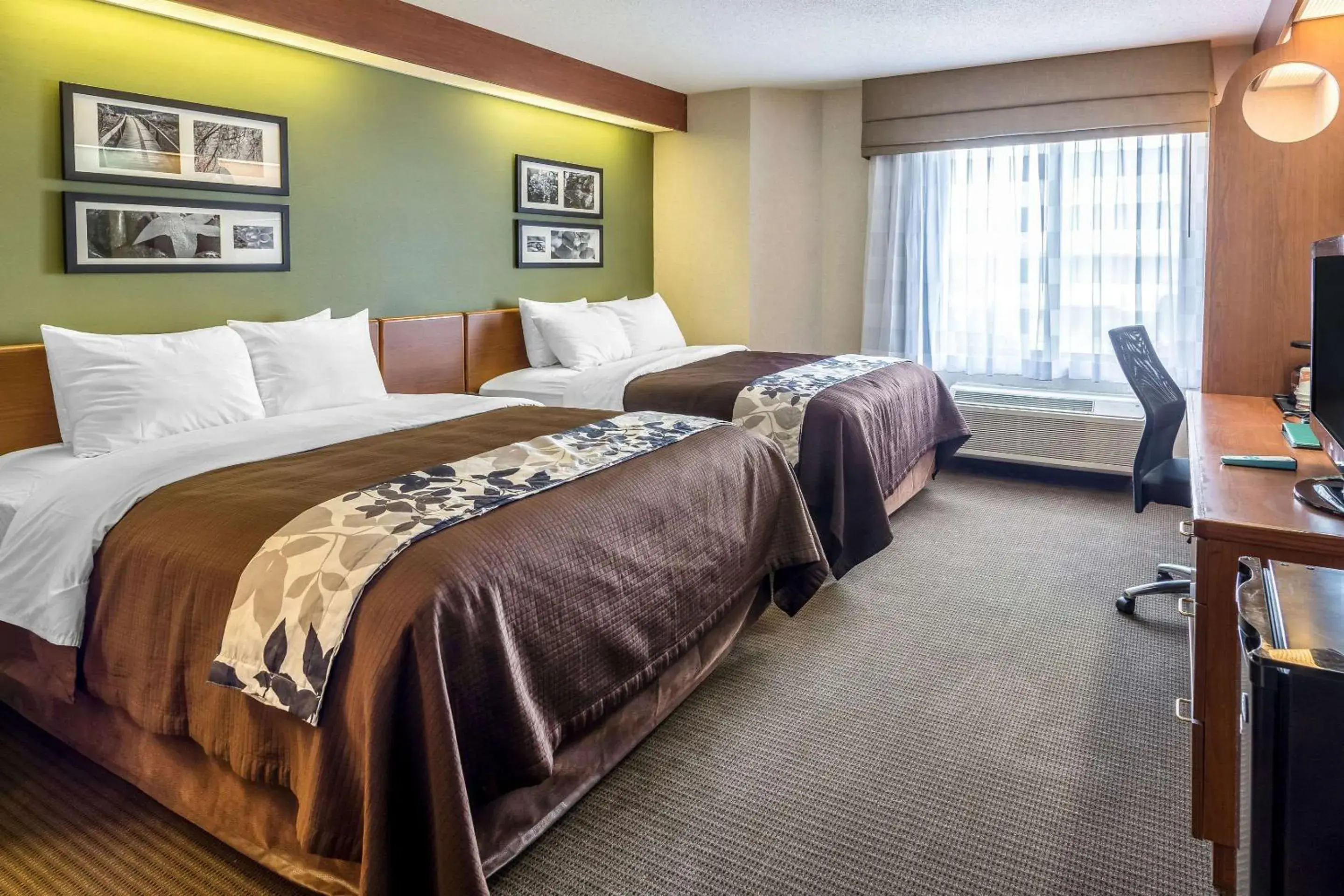 Photo of the whole room, Bed in Sleep Inn & Suites Bay View Acme - Traverse City Photo of the whole room, Bed in Sleep Inn & Suites Bay View Acme - Traverse City