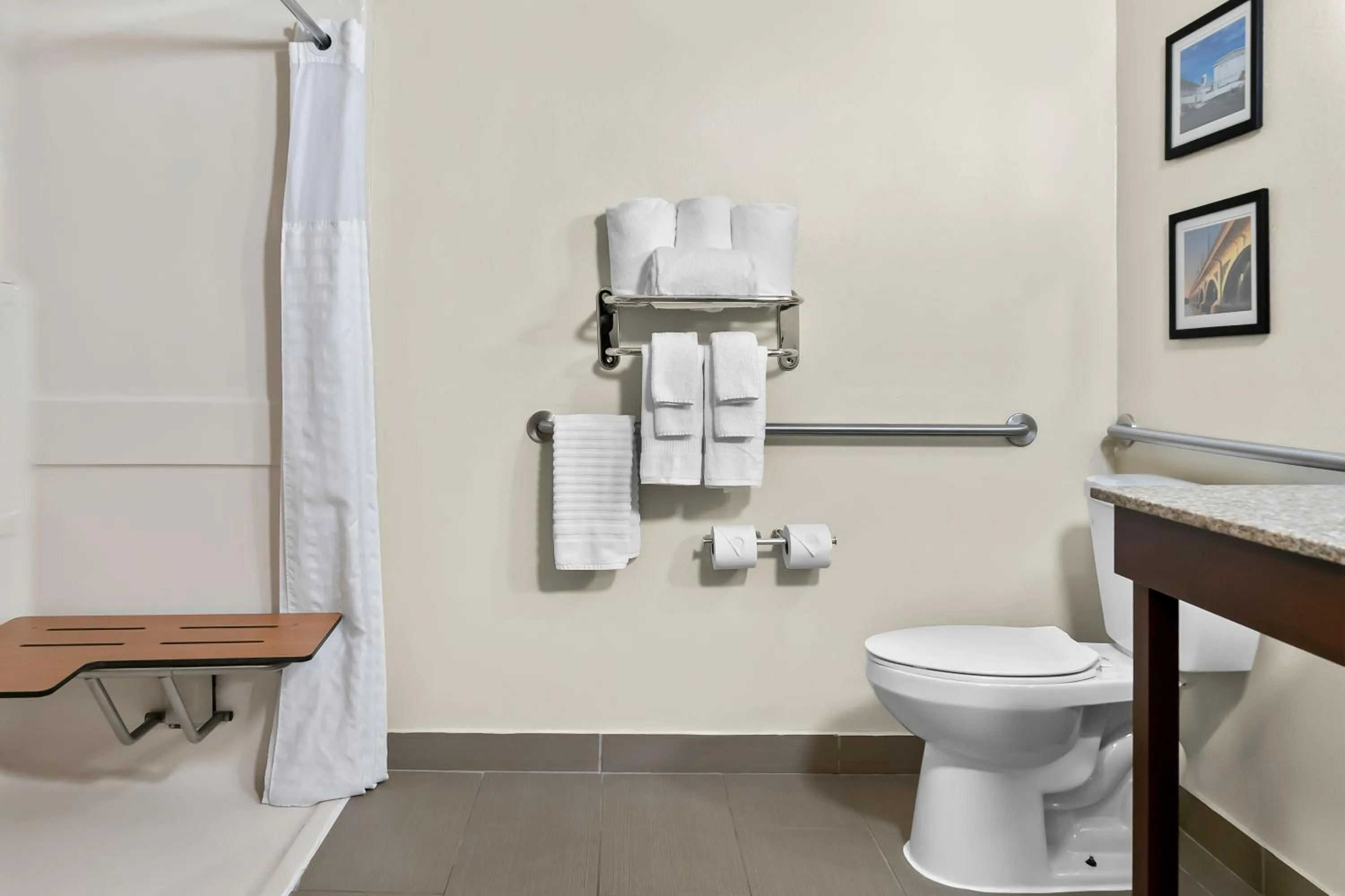 Toilet in Comfort Inn & Suites